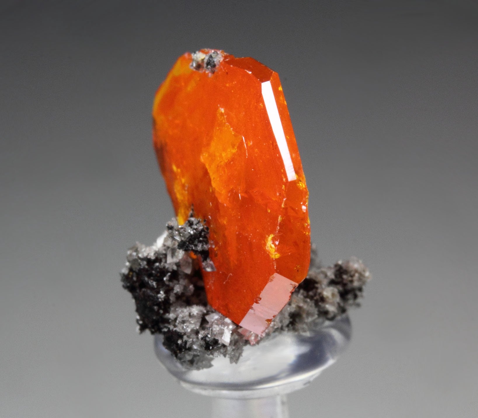 gemmy WULFENITE