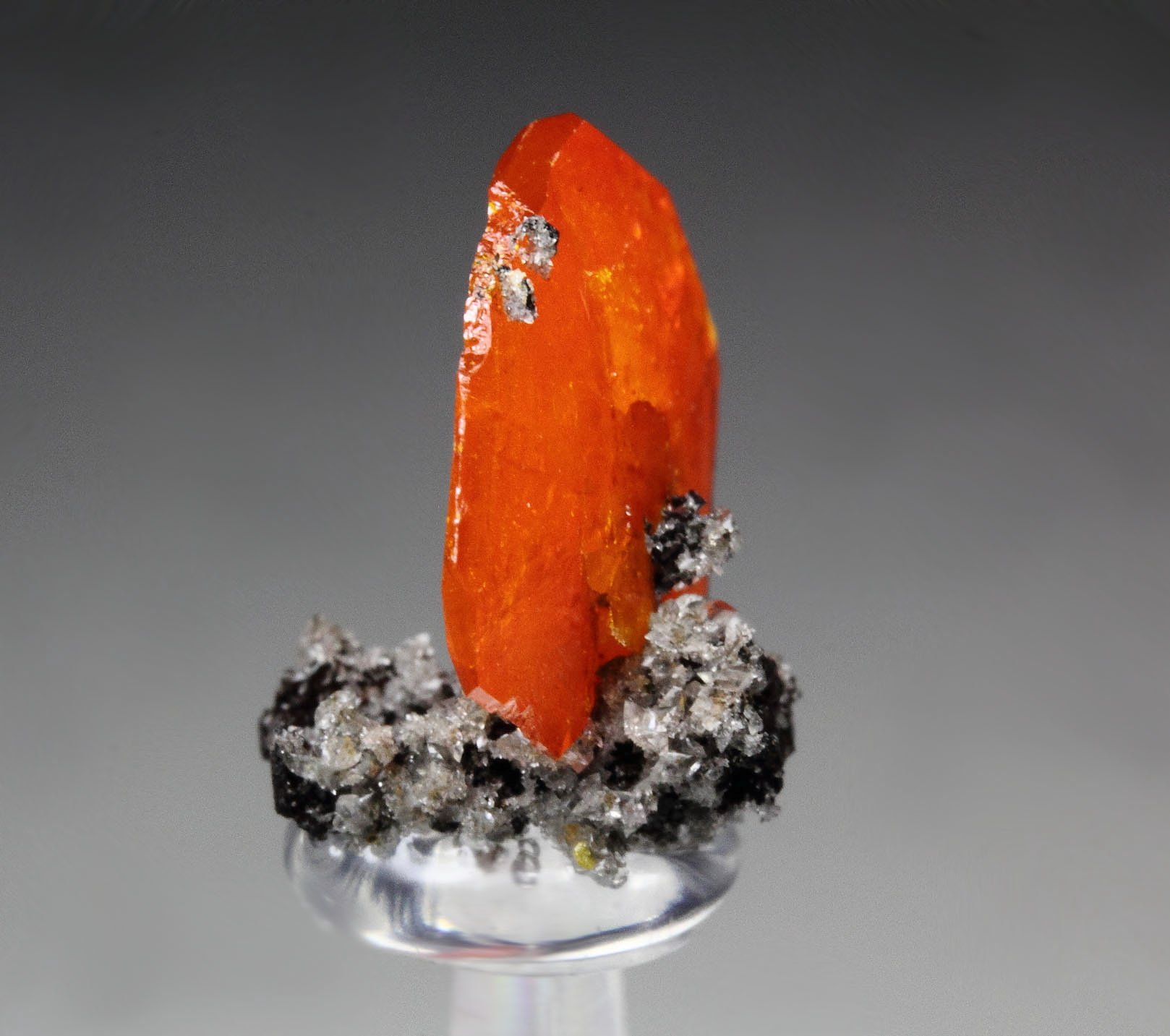 gemmy WULFENITE