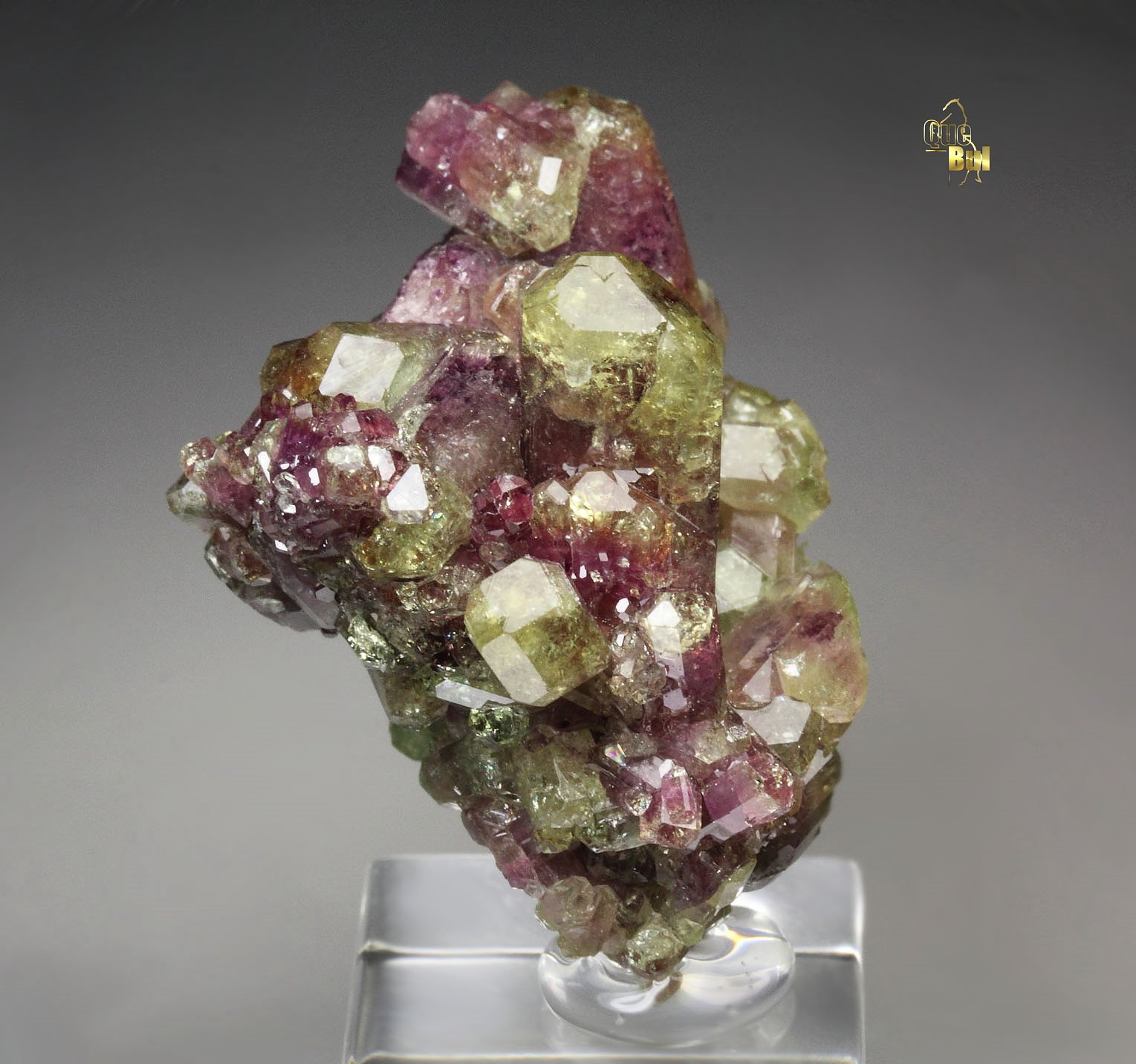 gem VESUVIANITE bi-color