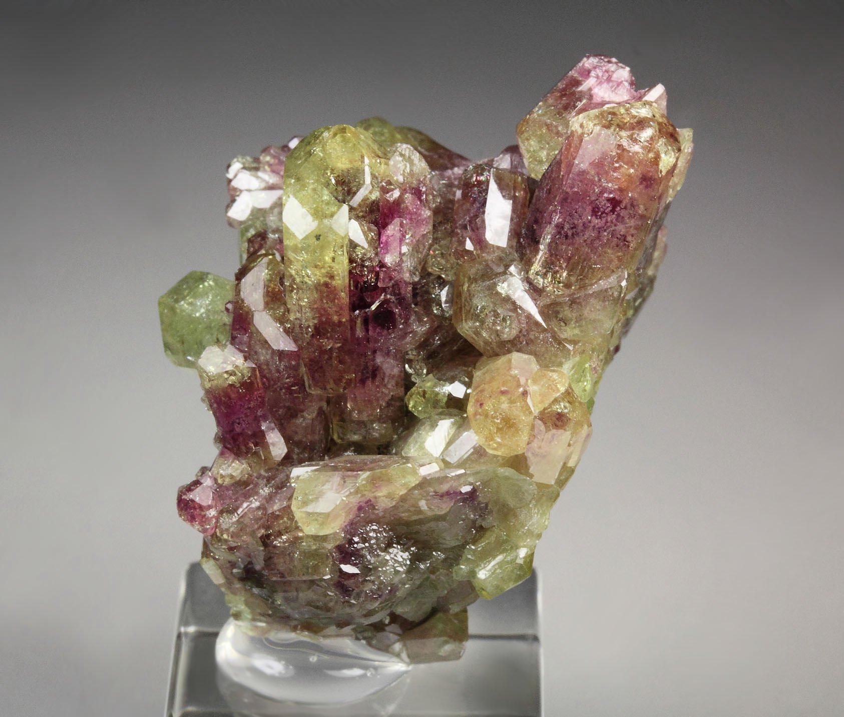 gem VESUVIANITE bi-color