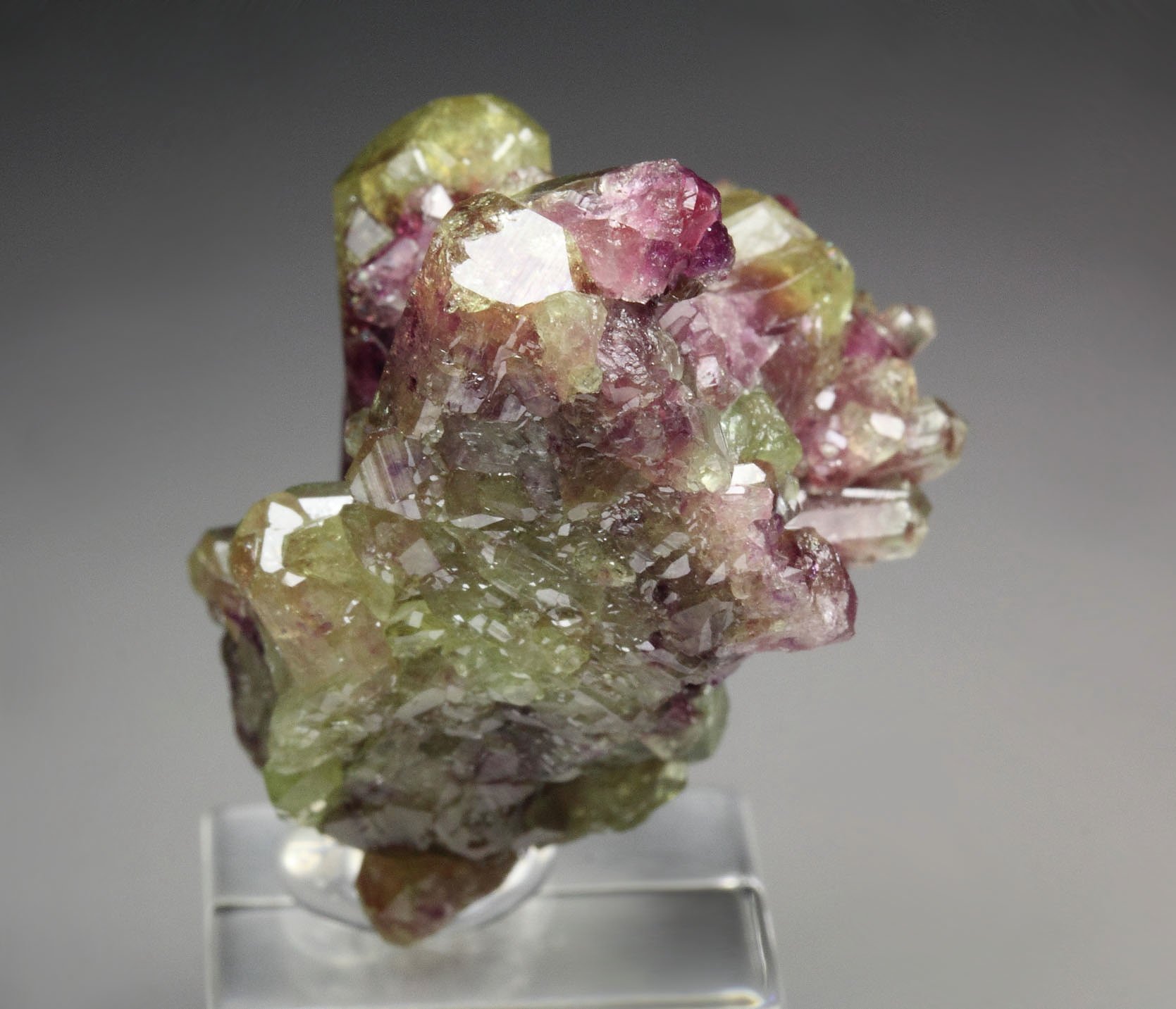 gem VESUVIANITE bi-color