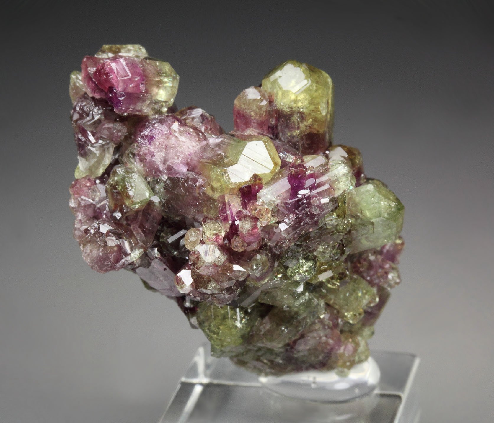 gem VESUVIANITE bi-color