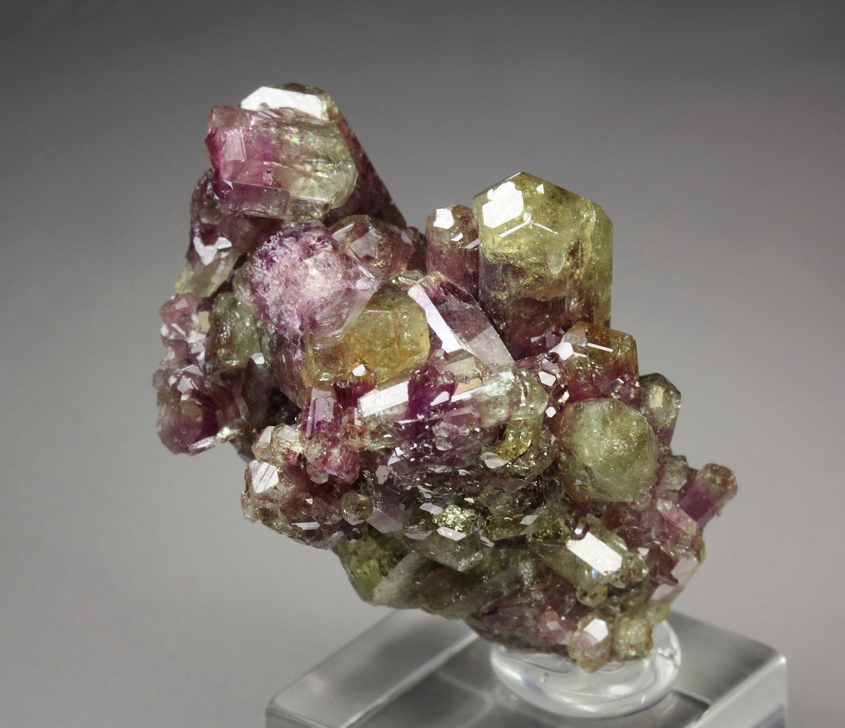 gem VESUVIANITE bi-color