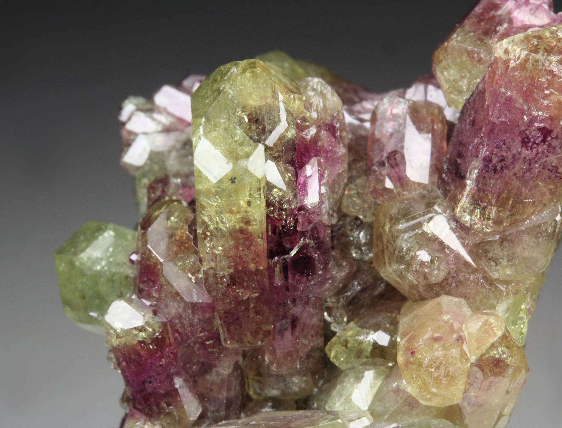 gem VESUVIANITE bi-color