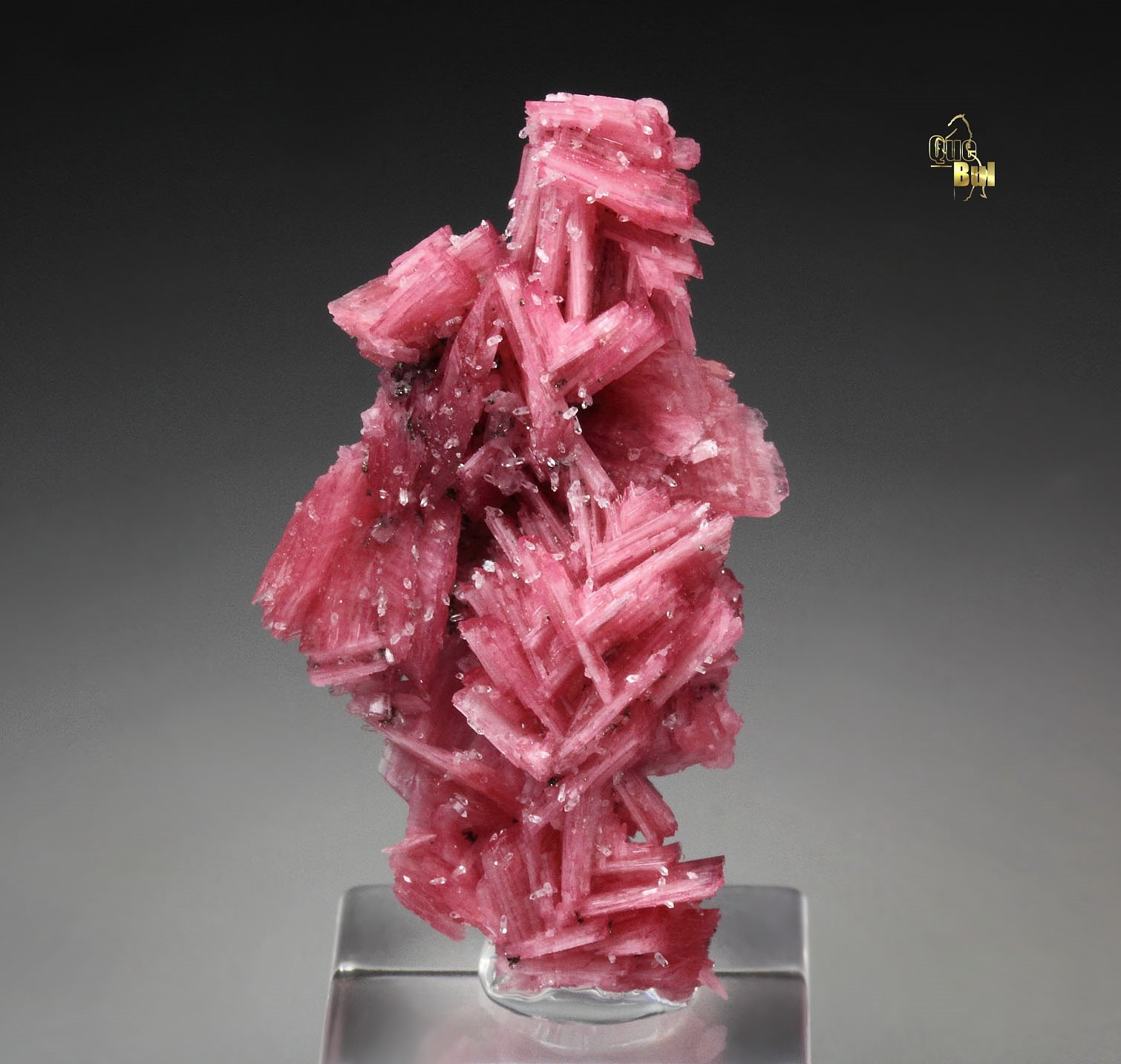 twinned RHODONITE, QUARTZ
