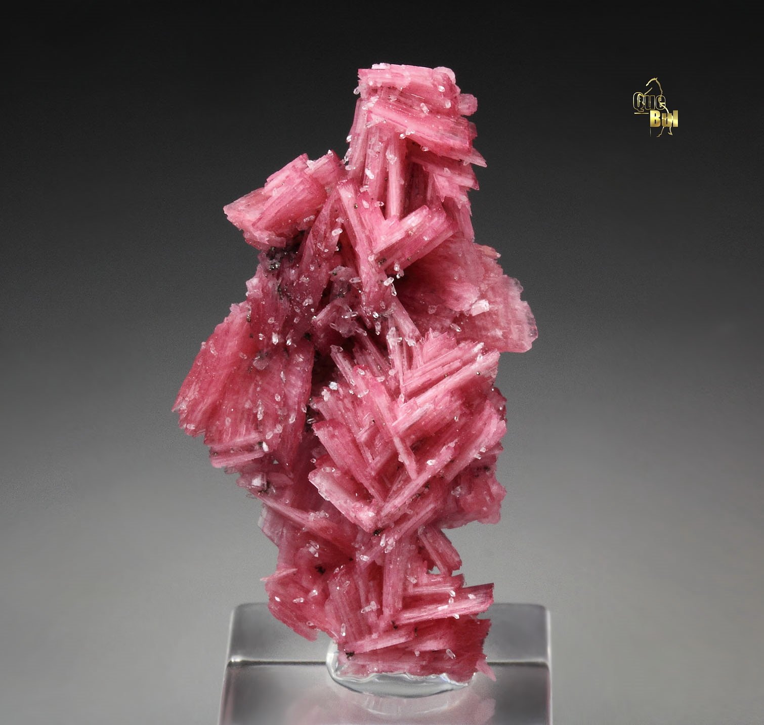 twinned RHODONITE, QUARTZ