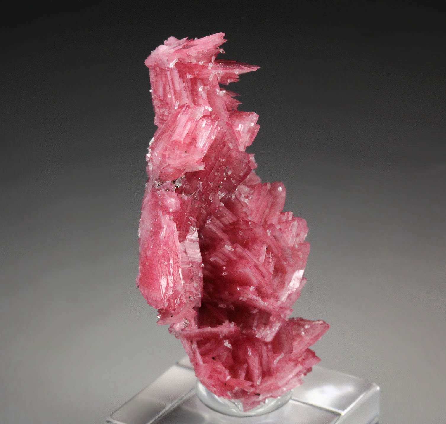 twinned RHODONITE, QUARTZ