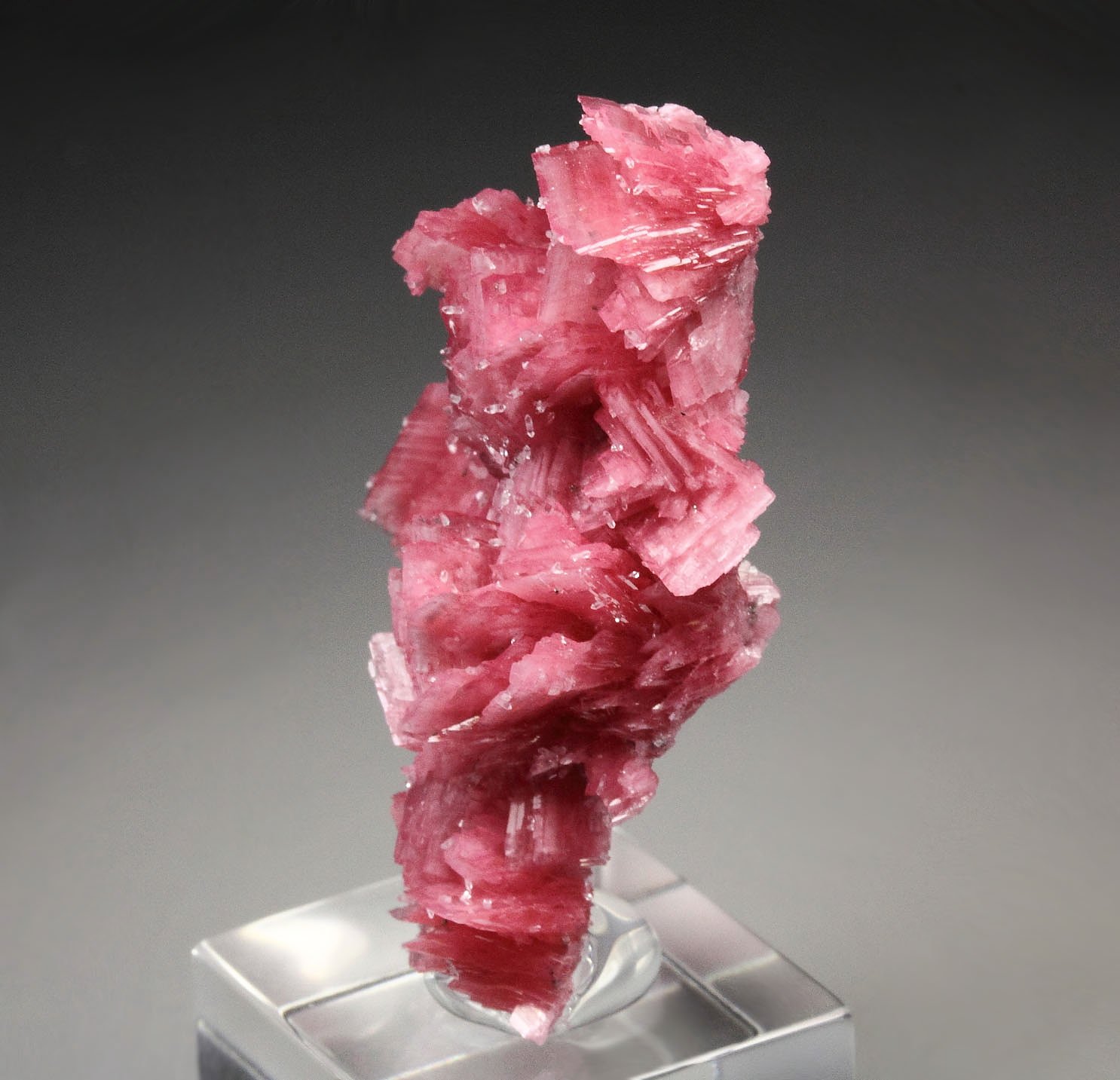 twinned RHODONITE, QUARTZ