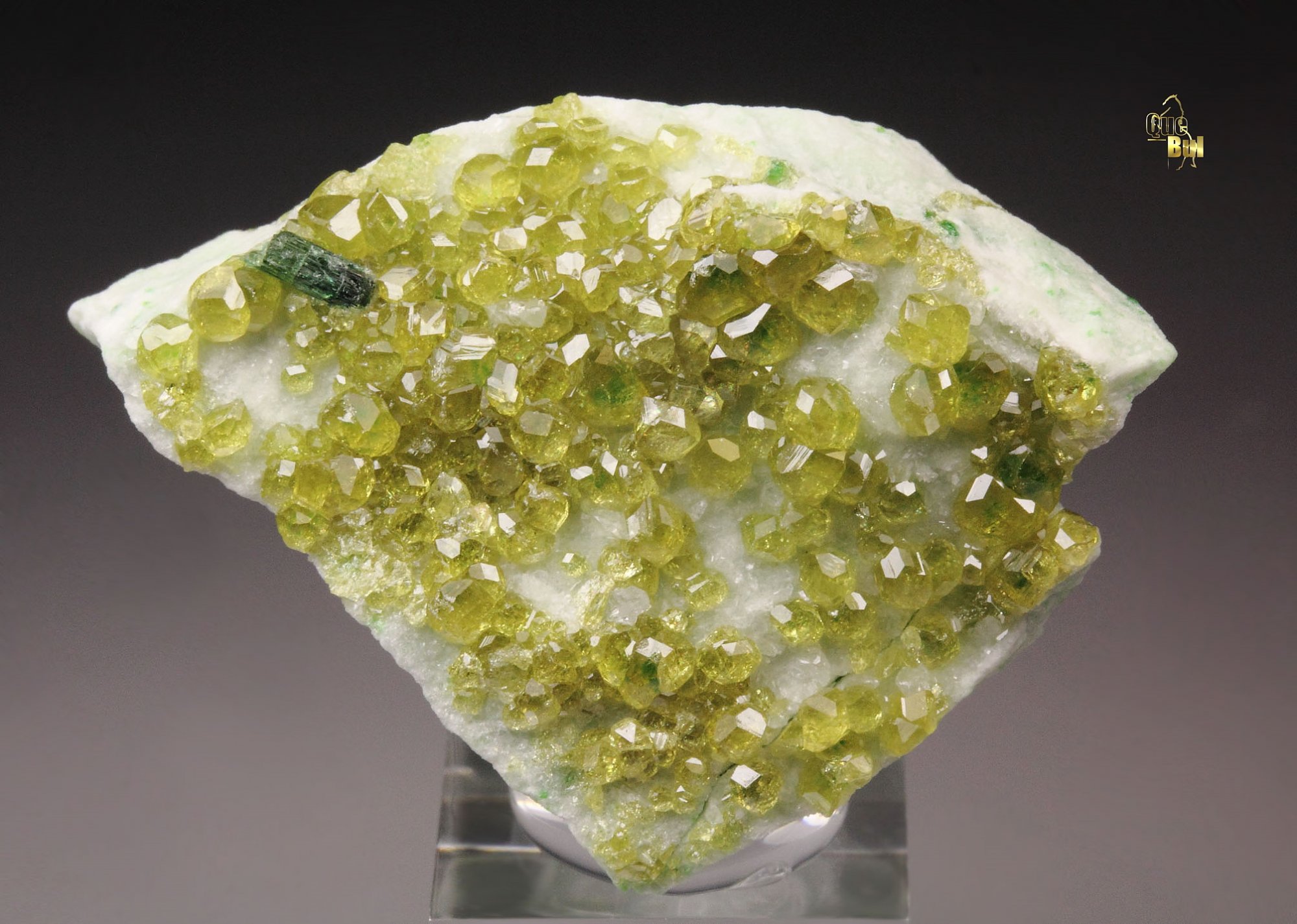 gem GARNET var. ANDRADITE, VESUVIANITE 