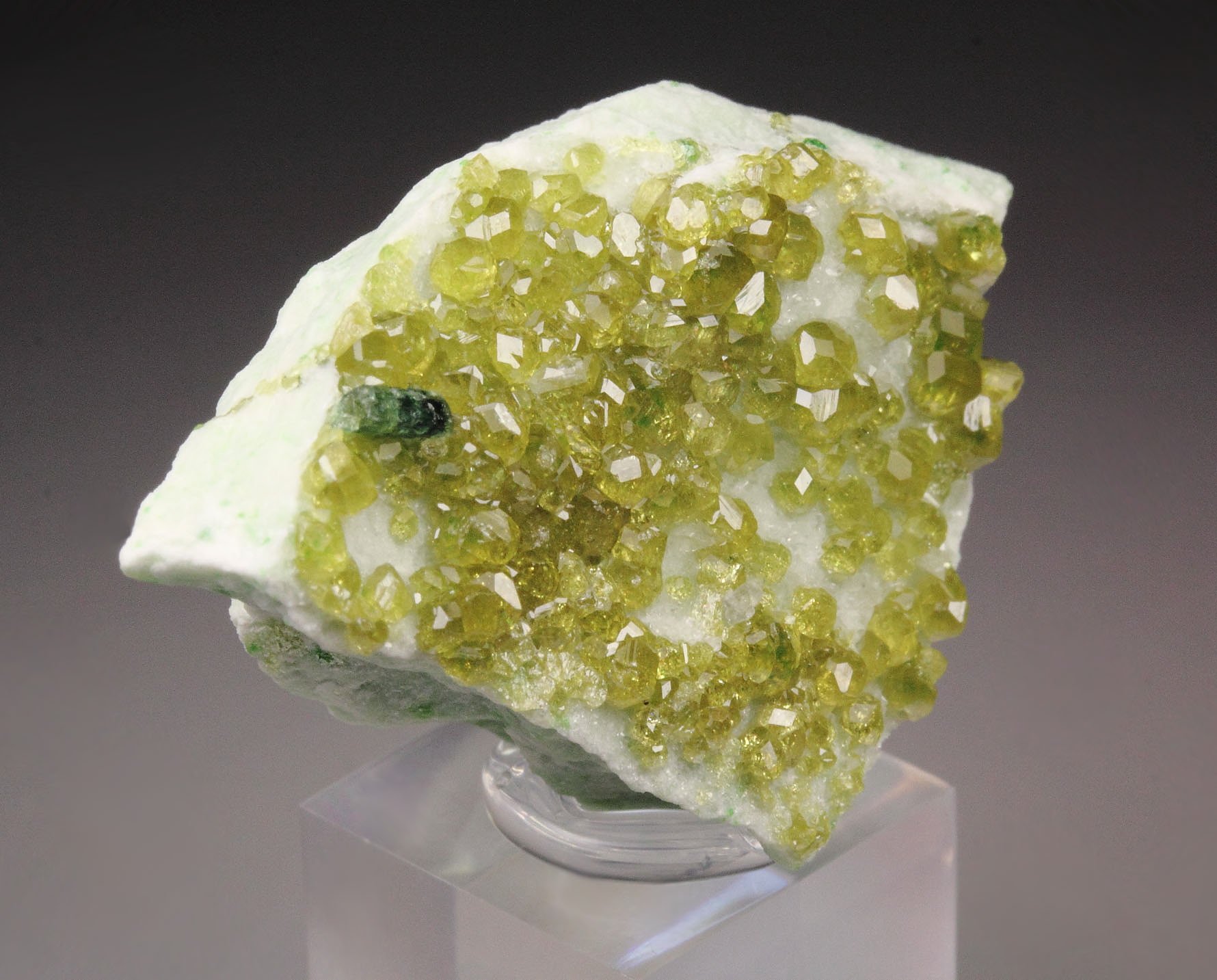 gem GARNET var. ANDRADITE, VESUVIANITE 