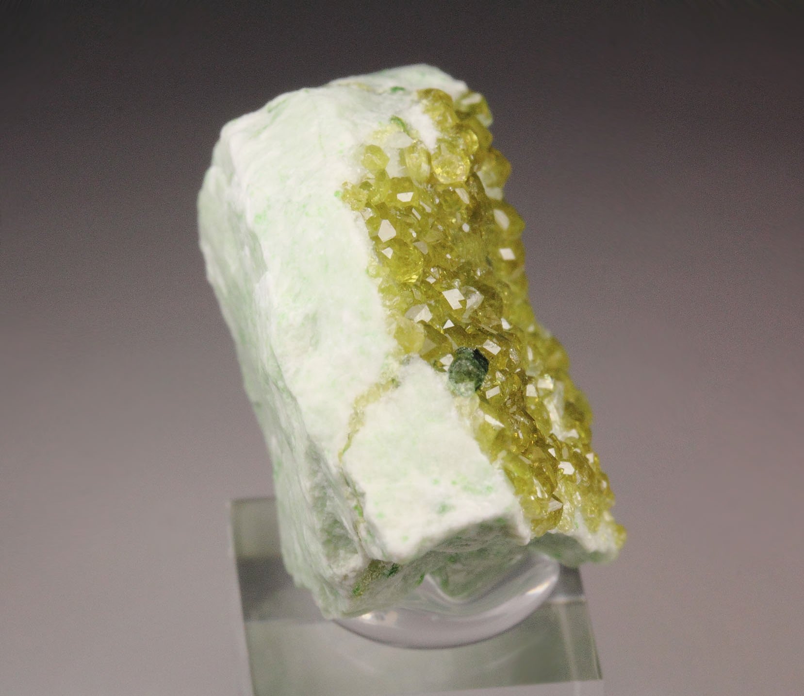 gem GARNET var. ANDRADITE, VESUVIANITE 