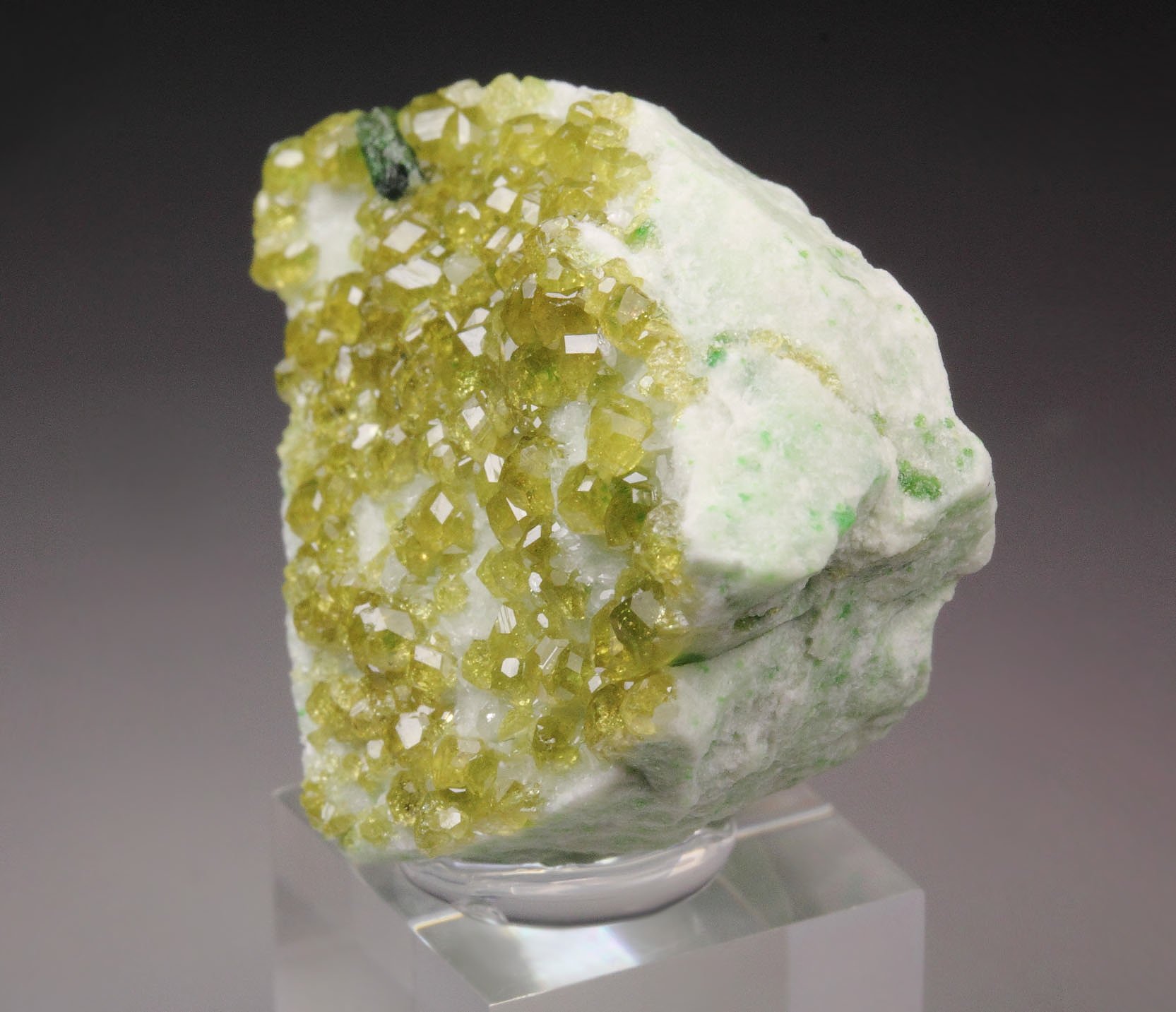 gem GARNET var. ANDRADITE, VESUVIANITE 