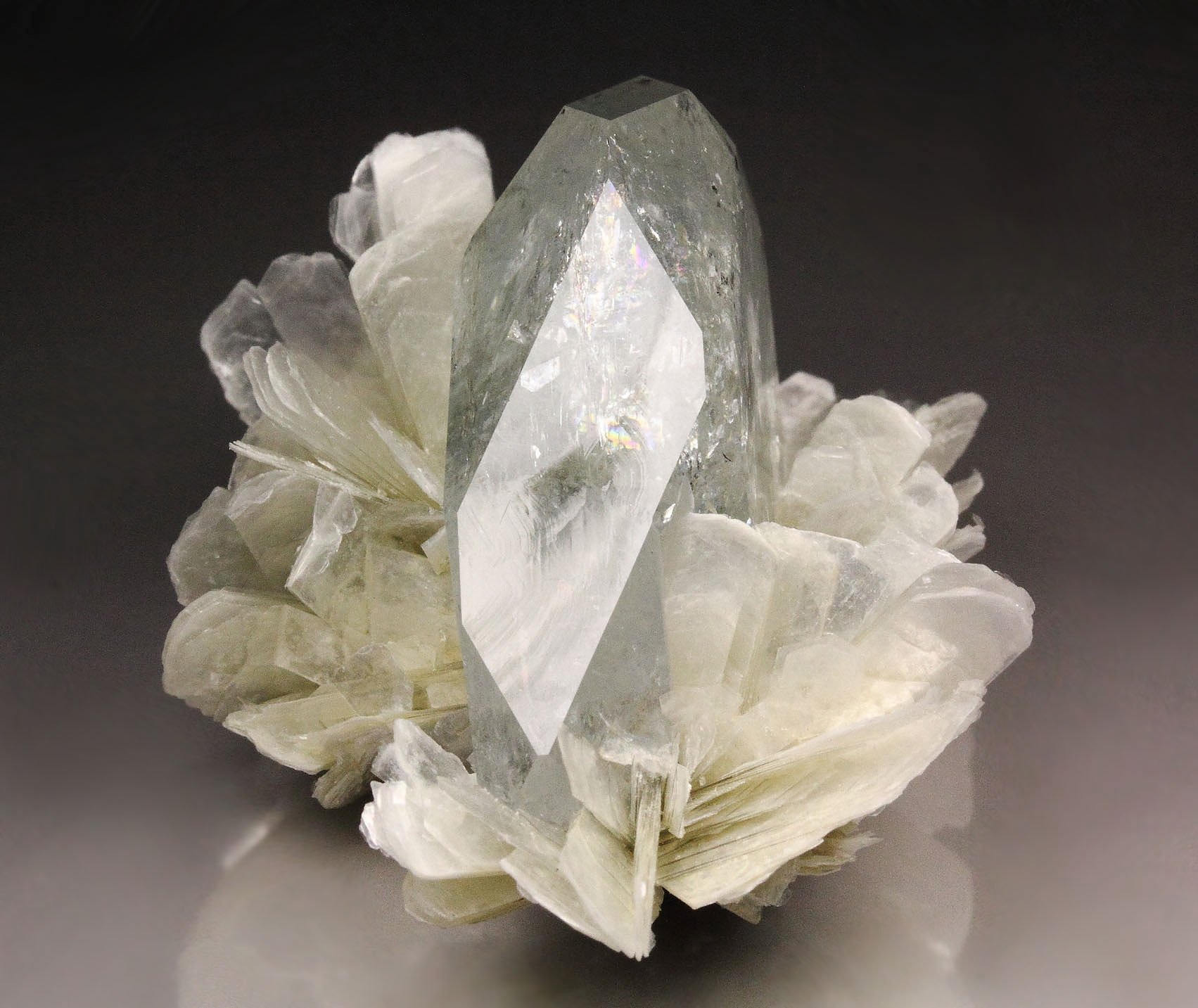 gem BERYL var. GOSHENITE, MUSCOVITE