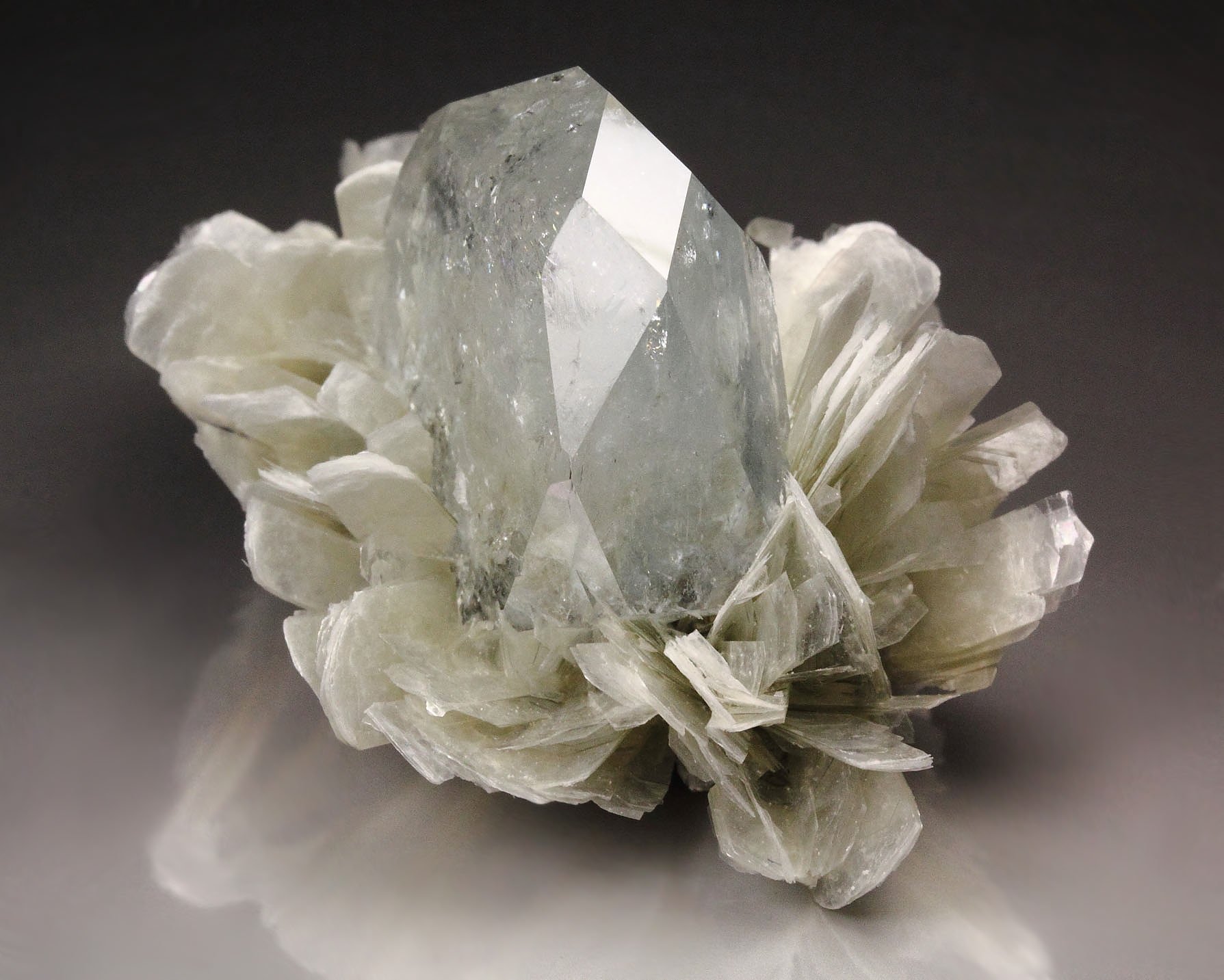 gem BERYL var. GOSHENITE, MUSCOVITE