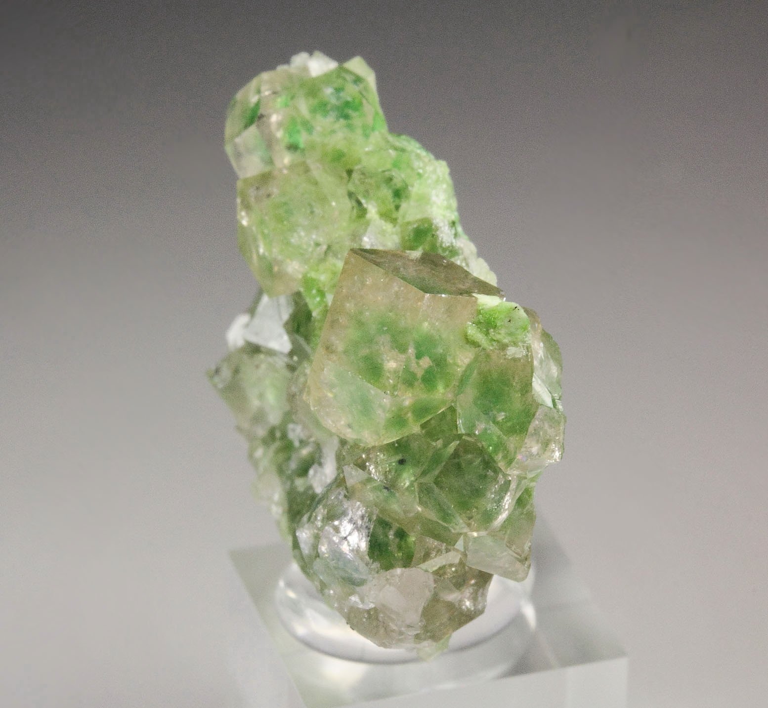 gem GARNET var. GROSSULAR with GREEN CHROMIAN PHANTOMS