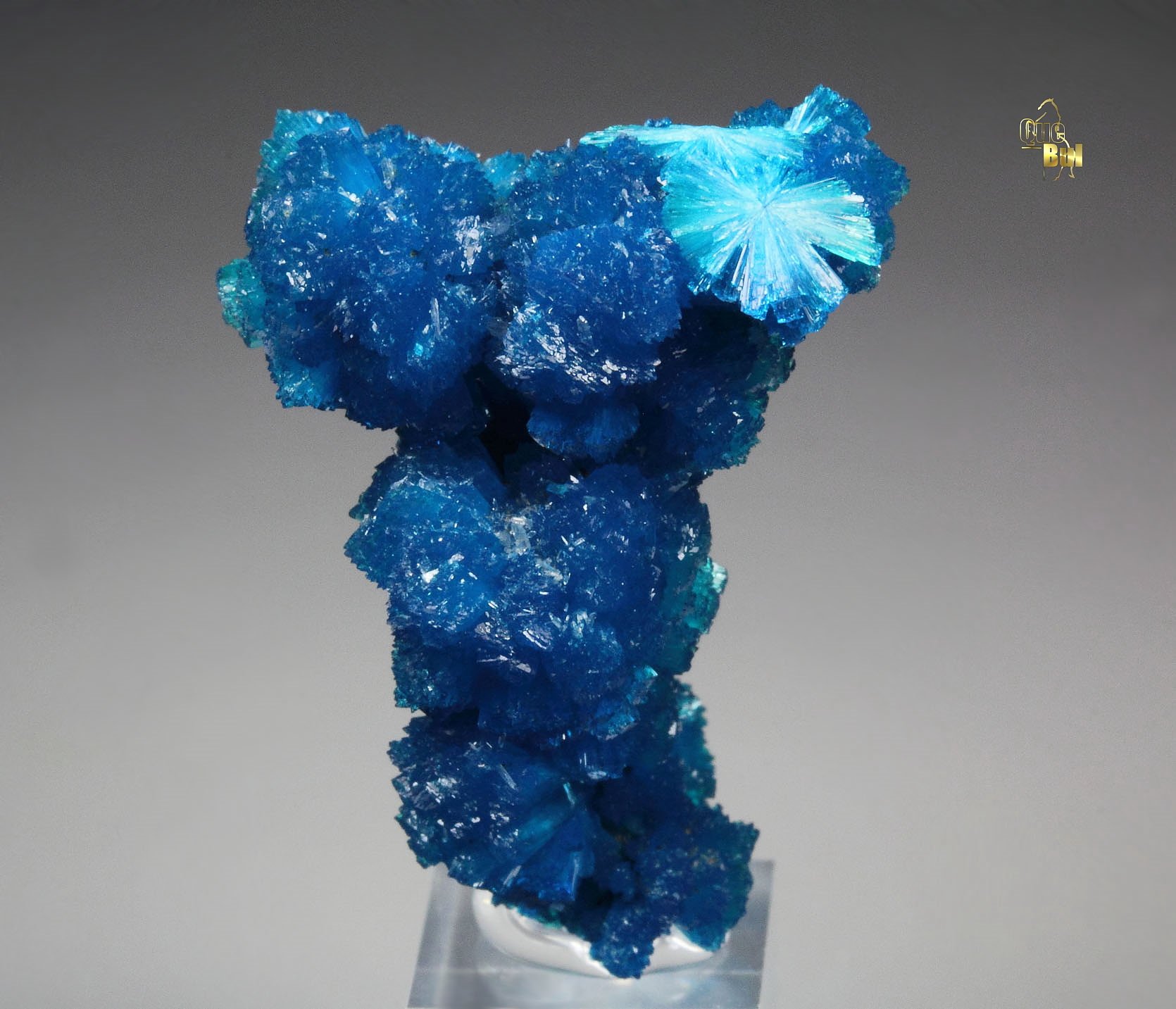 CAVANSITE