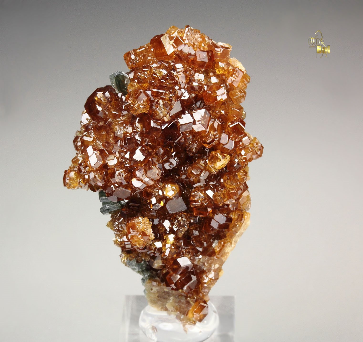 gem GARNET var. HESSONITE, CLINOCHLORE