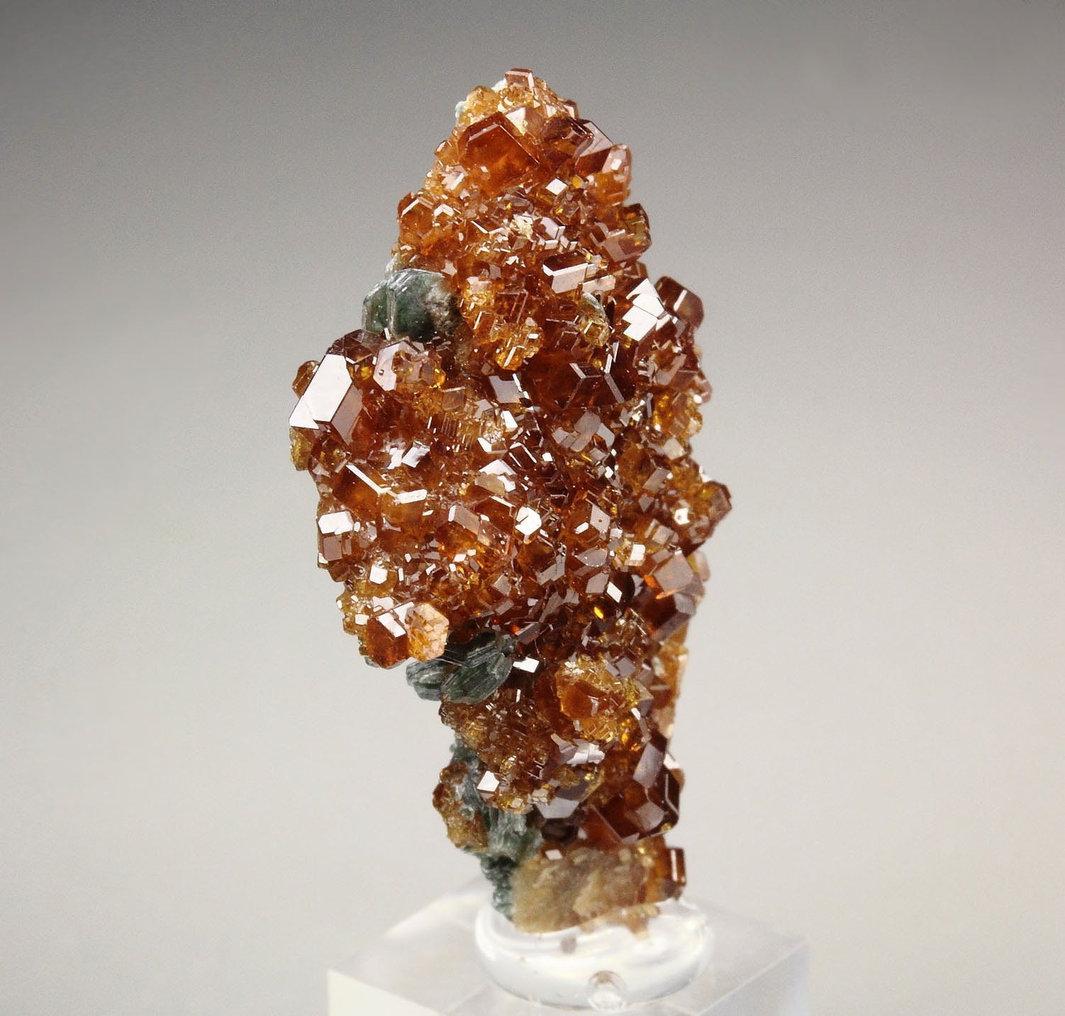 gem GARNET var. HESSONITE, CLINOCHLORE