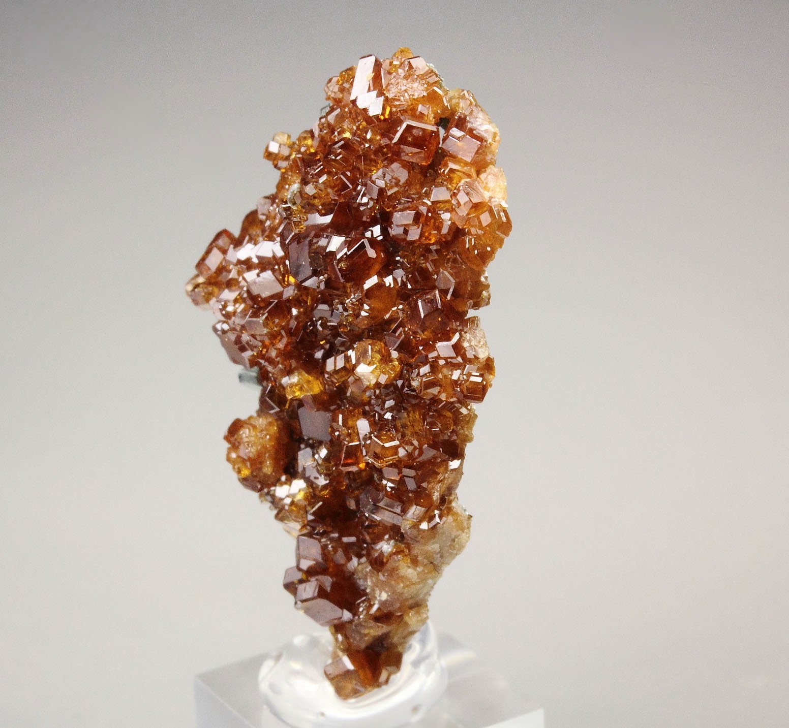 gem GARNET var. HESSONITE, CLINOCHLORE