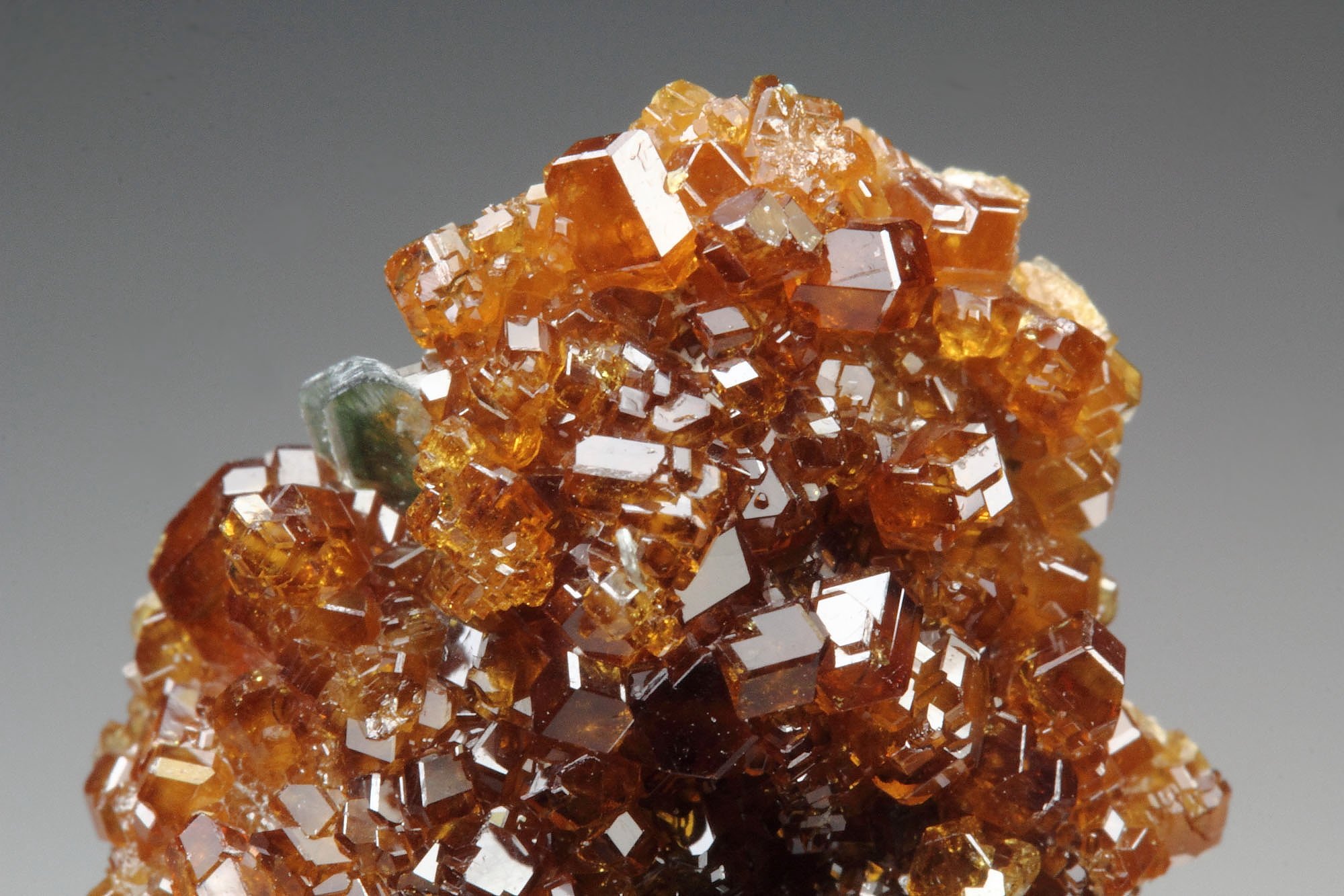 gem GARNET var. HESSONITE, CLINOCHLORE