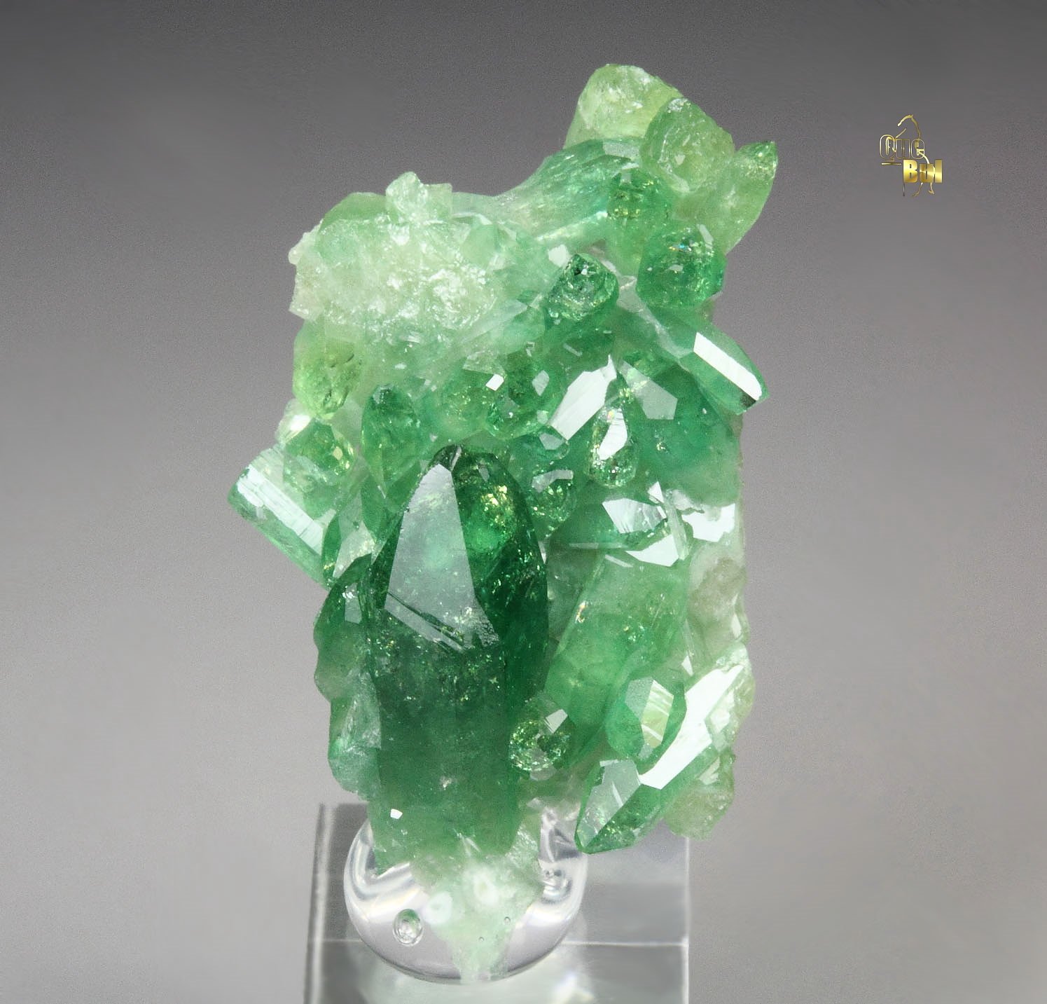 gem VESUVIANITE var. CHROMIAN