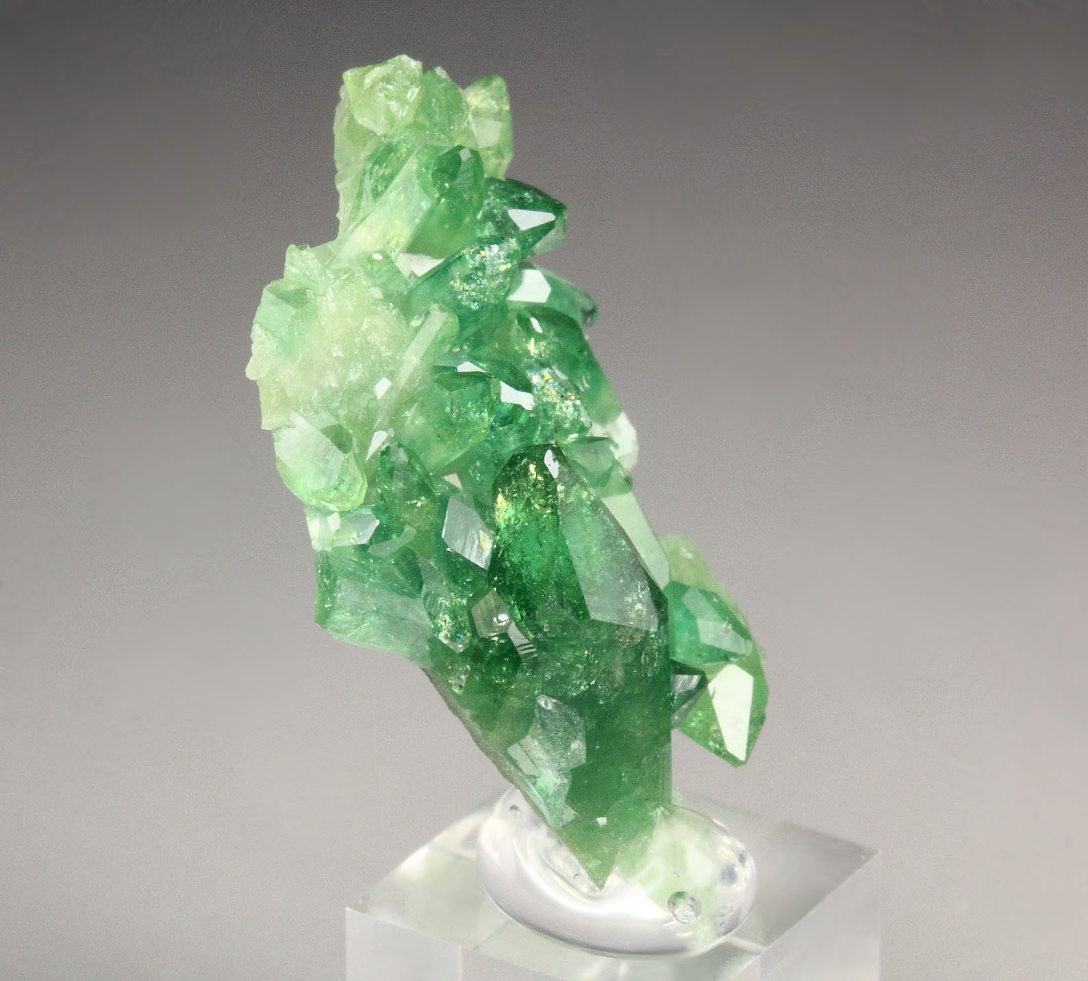 gem VESUVIANITE var. CHROMIAN