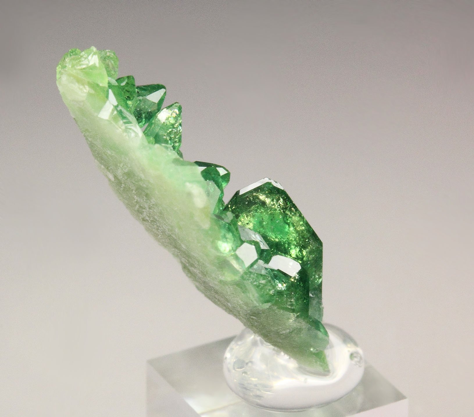 gem VESUVIANITE var. CHROMIAN