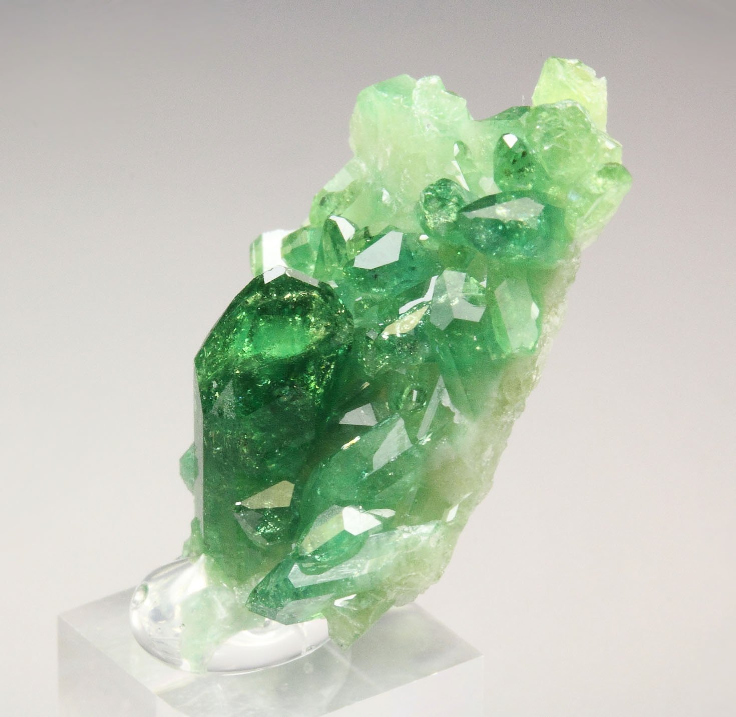 gem VESUVIANITE var. CHROMIAN