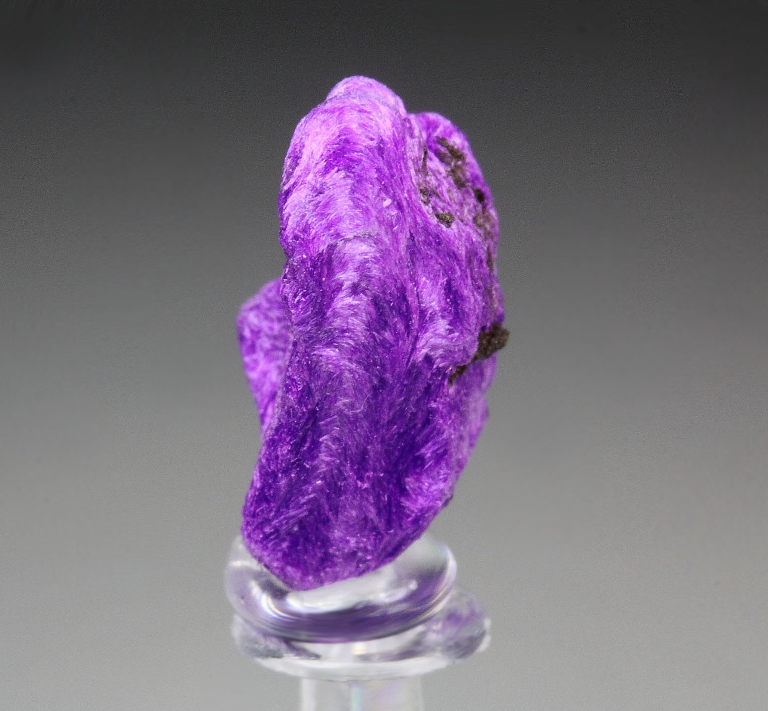 crystallized SUGILITE