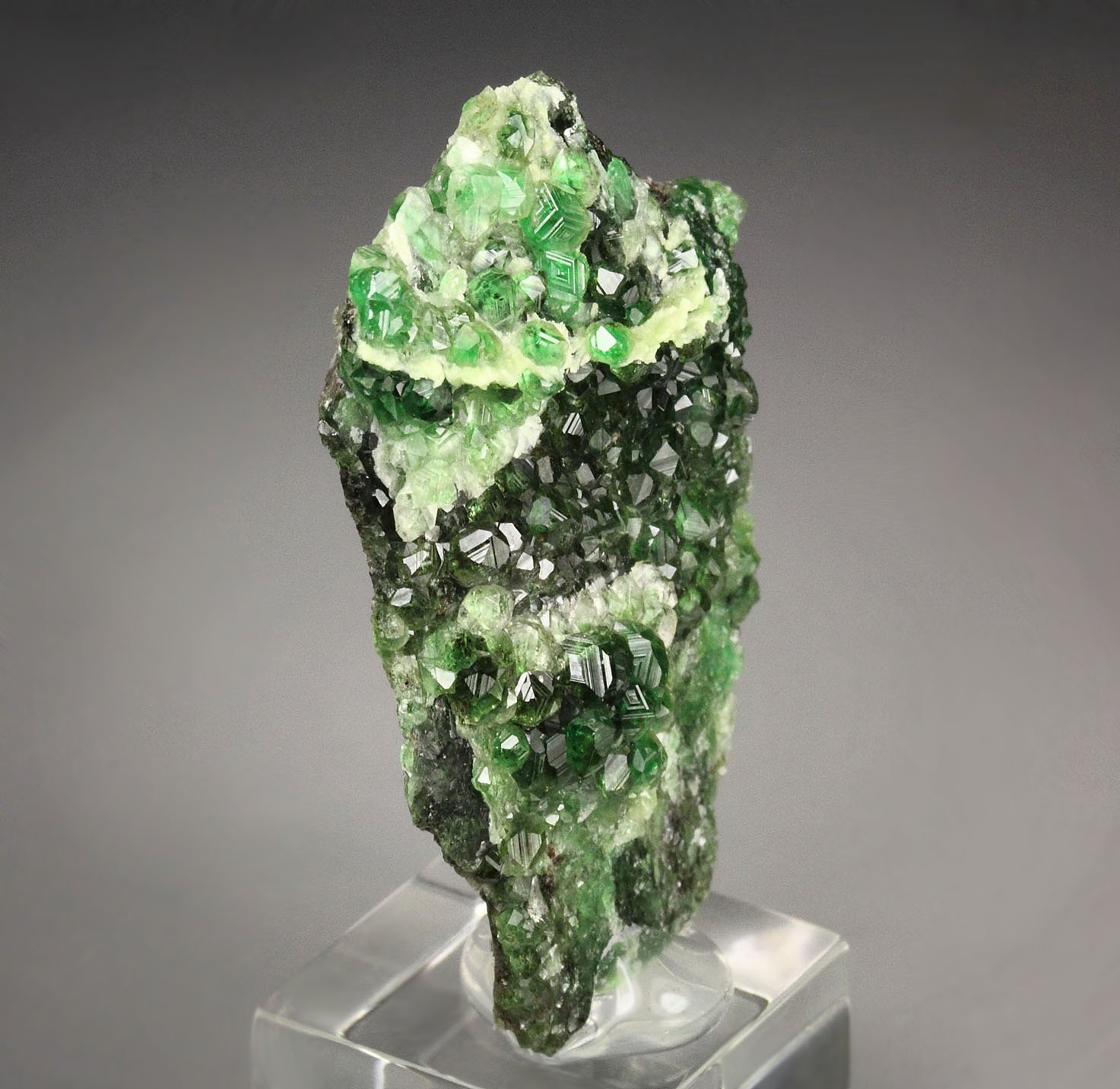 gem GARNET var. GROSSULAR var. CHROMIAN, CLINOCHLORE