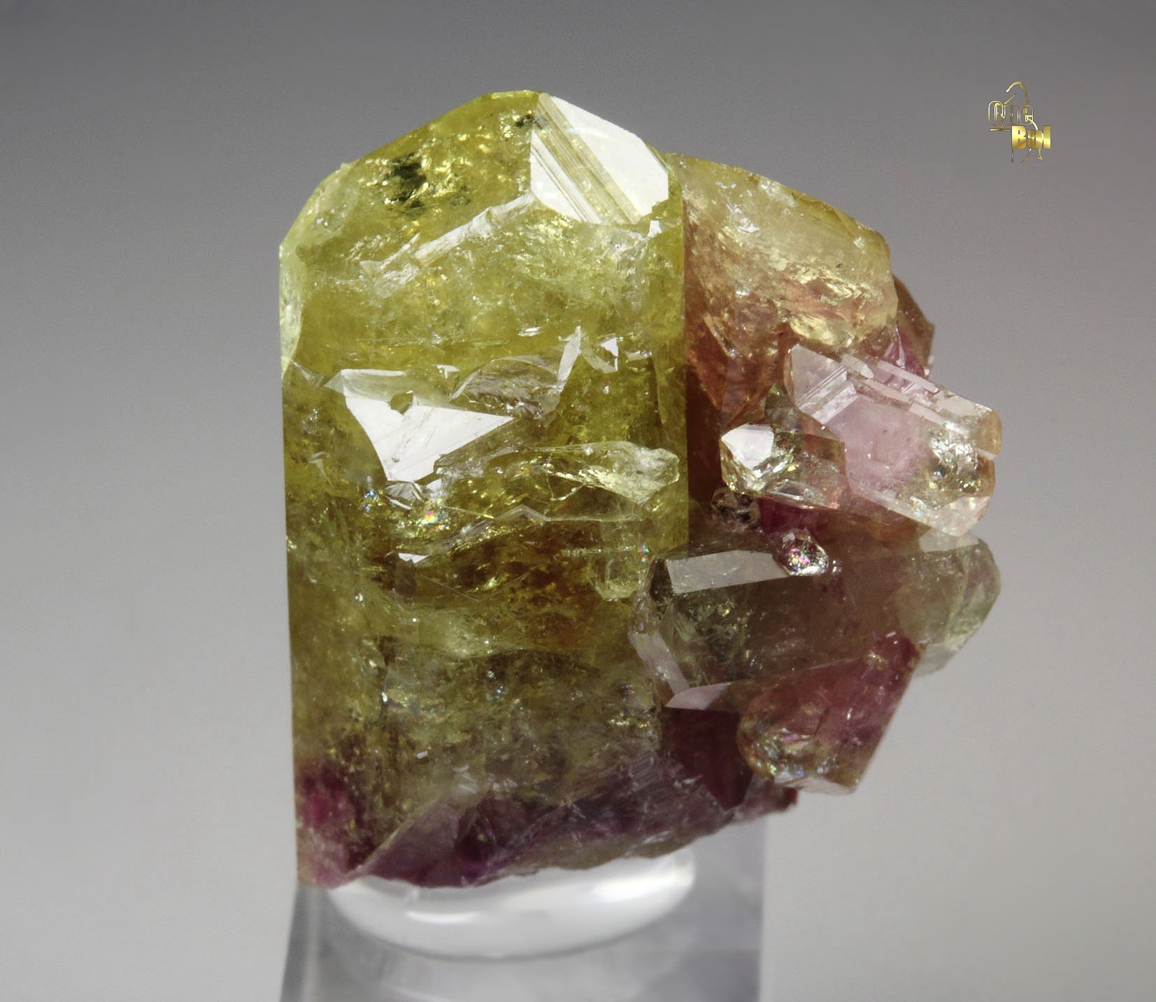 gemmy VESUVIANITE bi-color