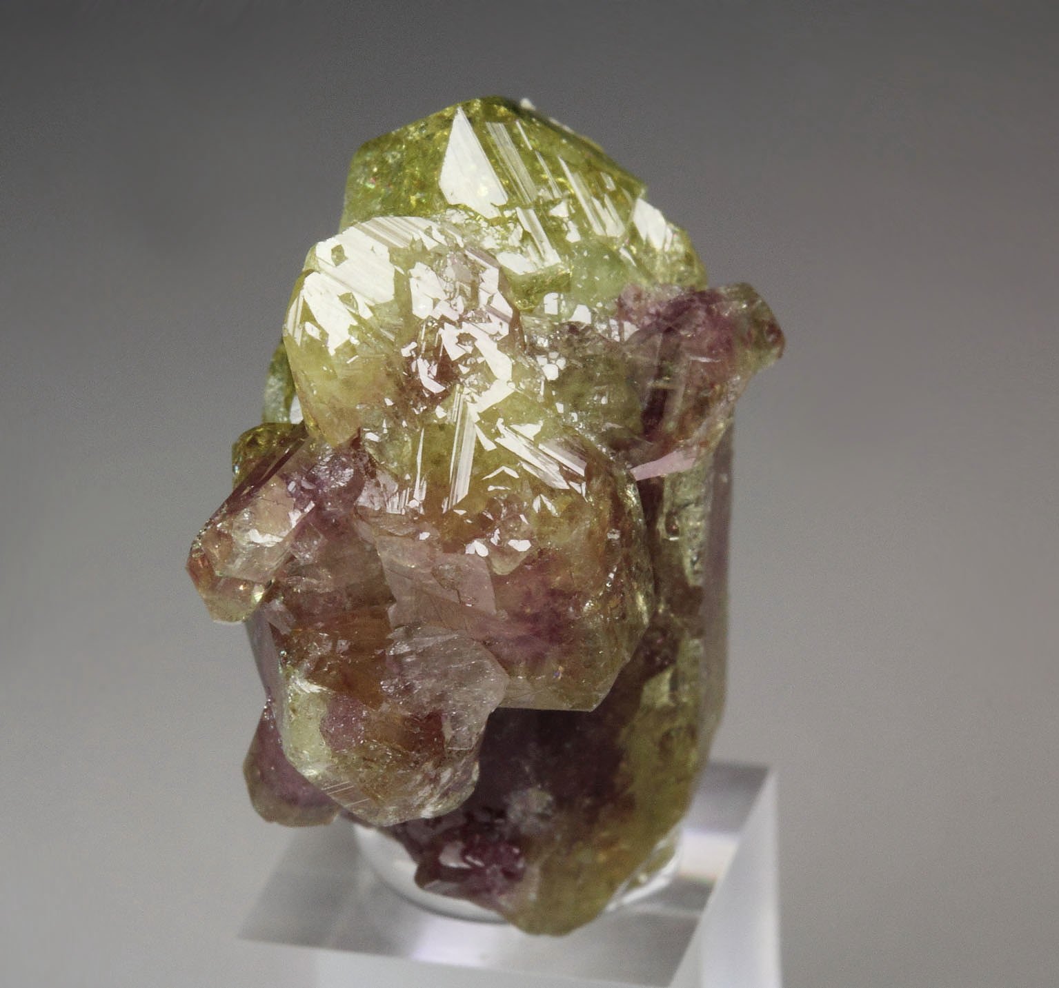 gemmy VESUVIANITE bi-color