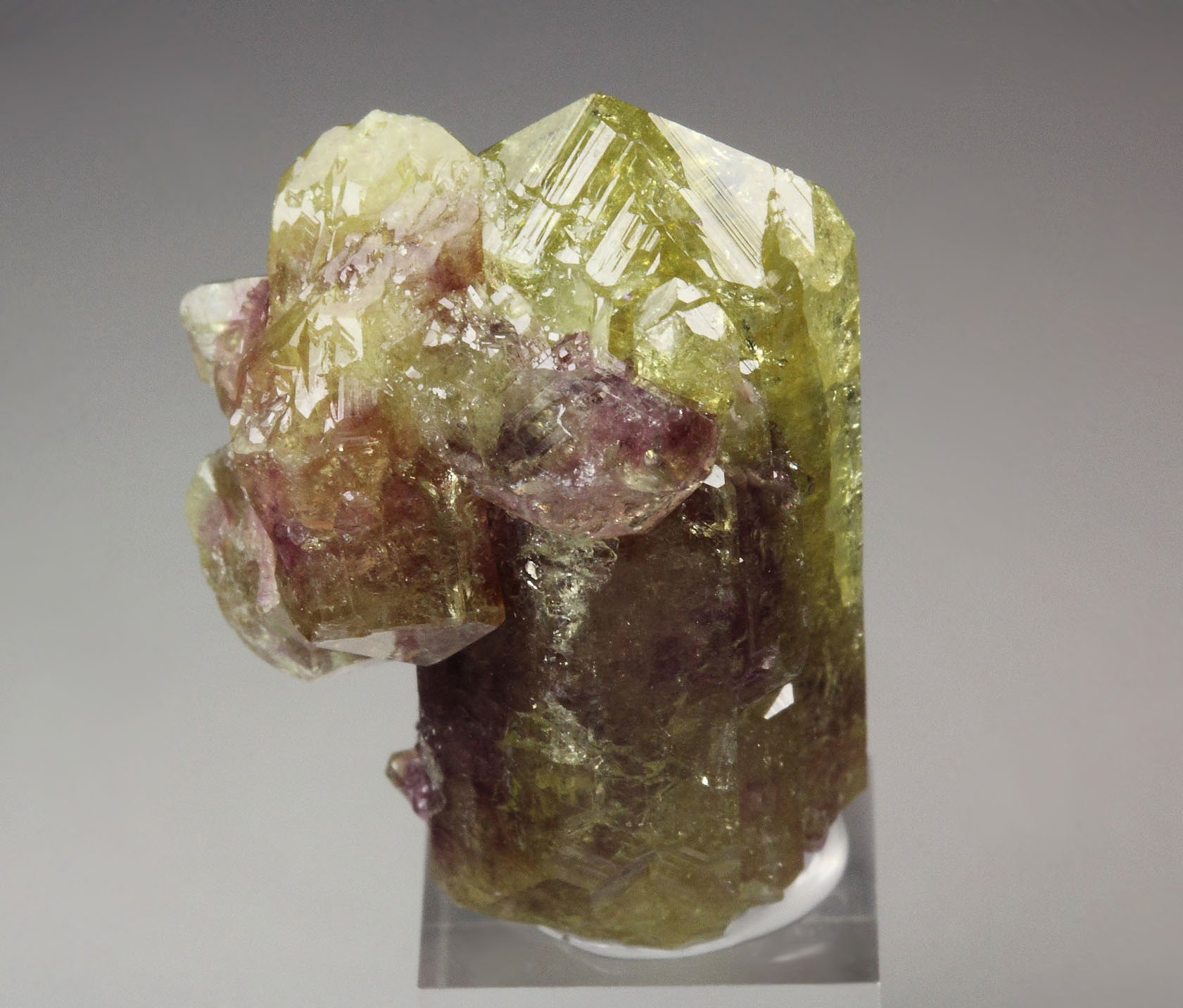 gemmy VESUVIANITE bi-color