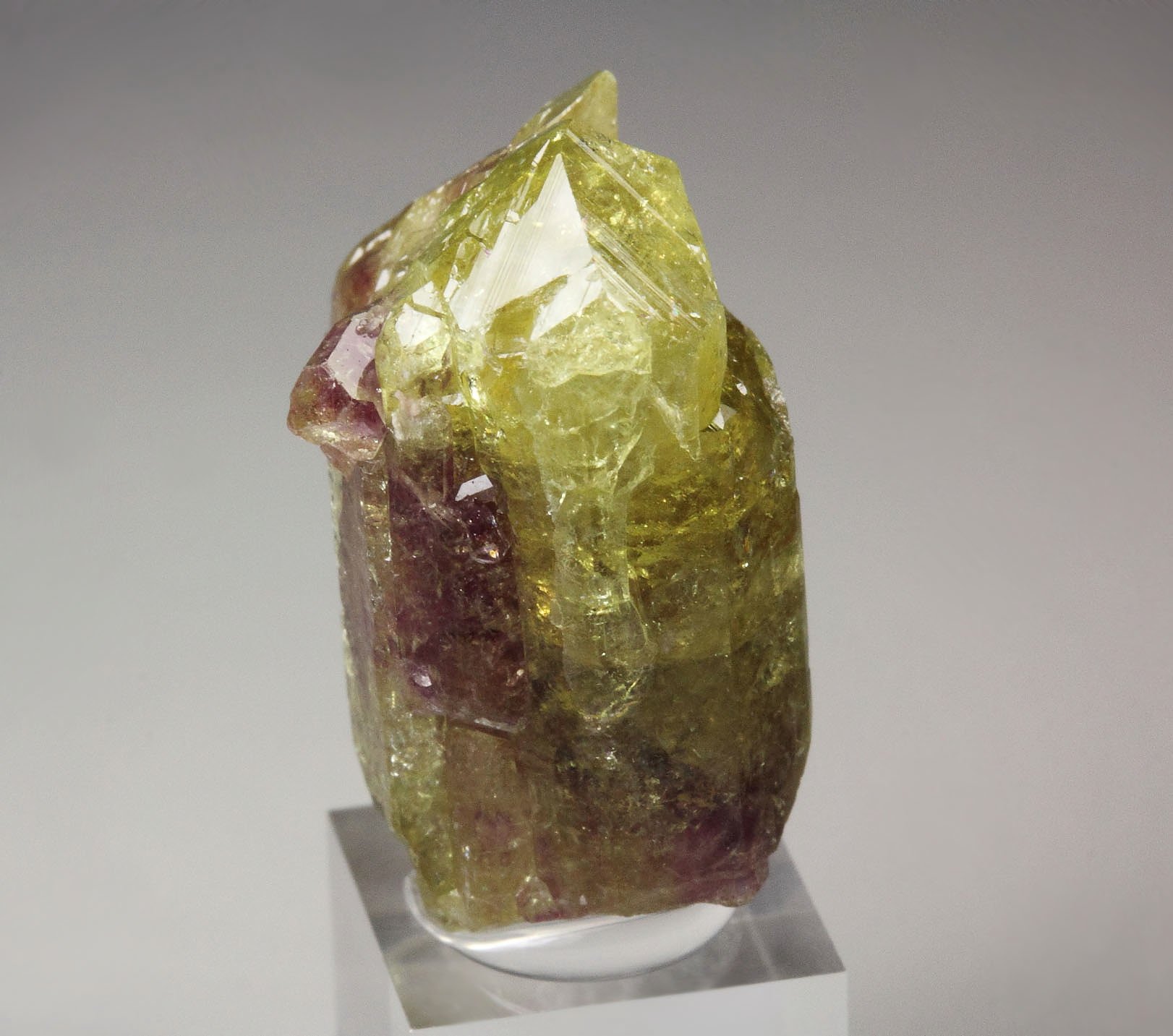 gemmy VESUVIANITE bi-color