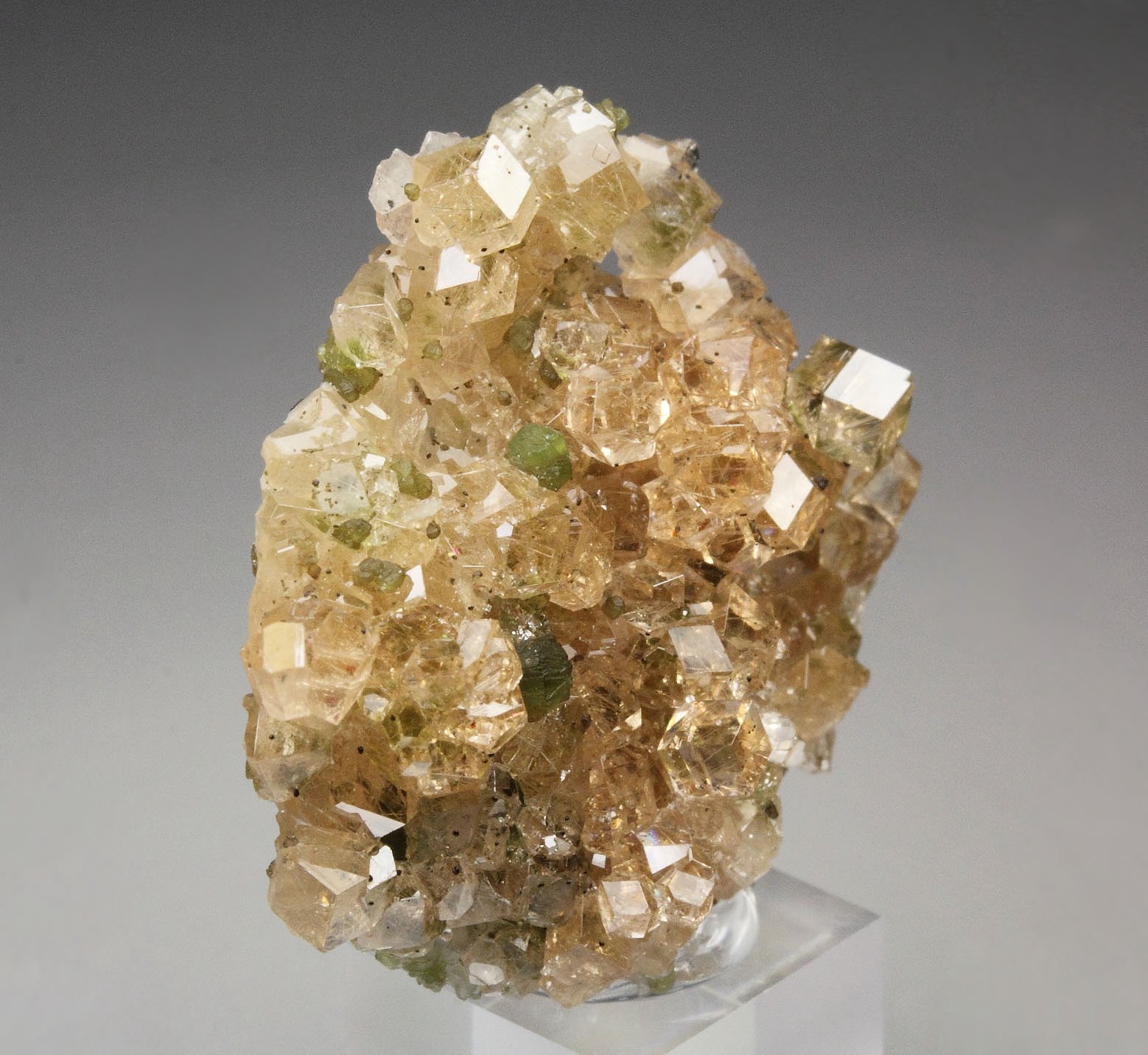 gem GARNET var. GROSSULAR, CLINOCHLORE, DIOPSIDE