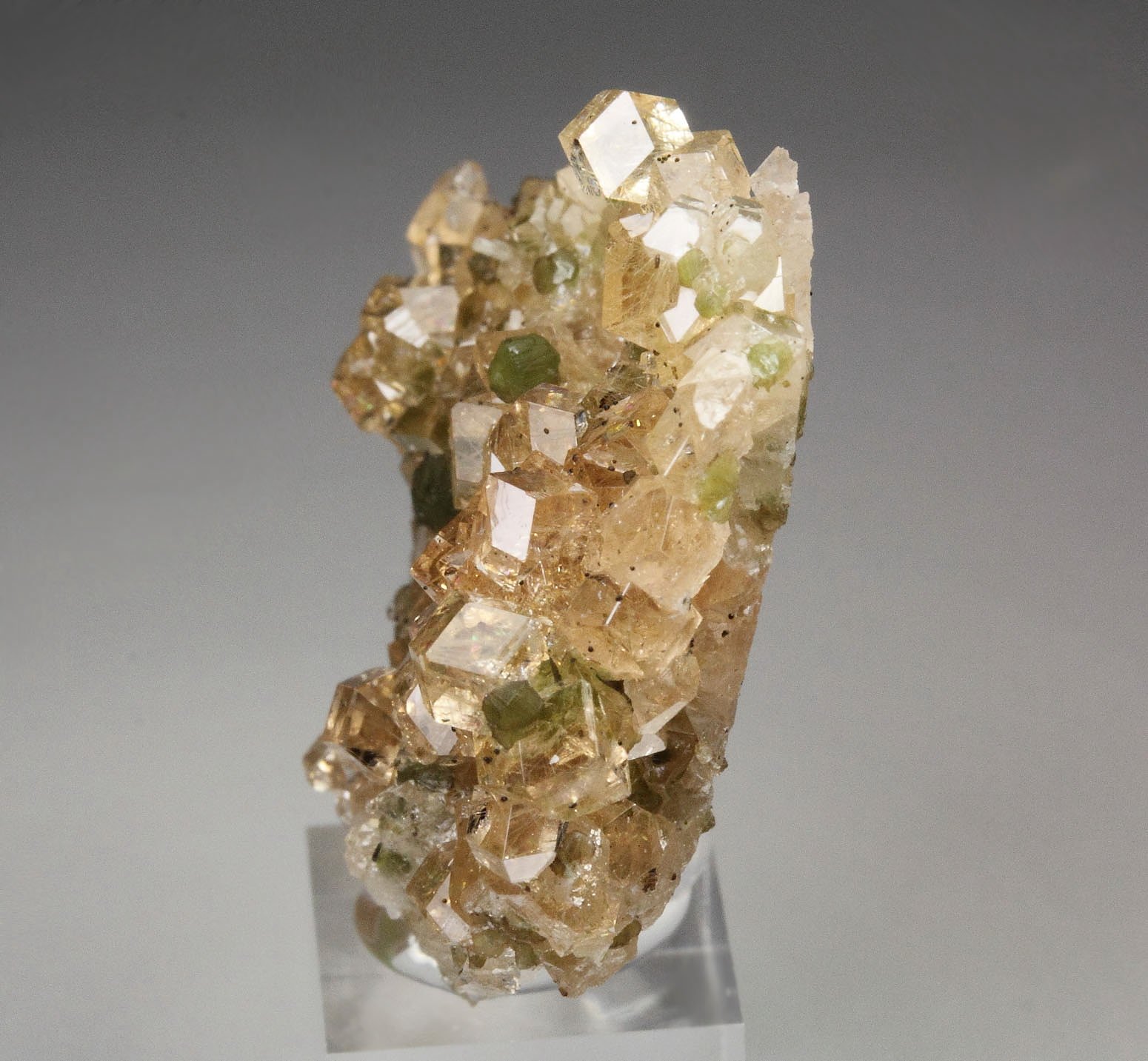 gem GARNET var. GROSSULAR, CLINOCHLORE, DIOPSIDE