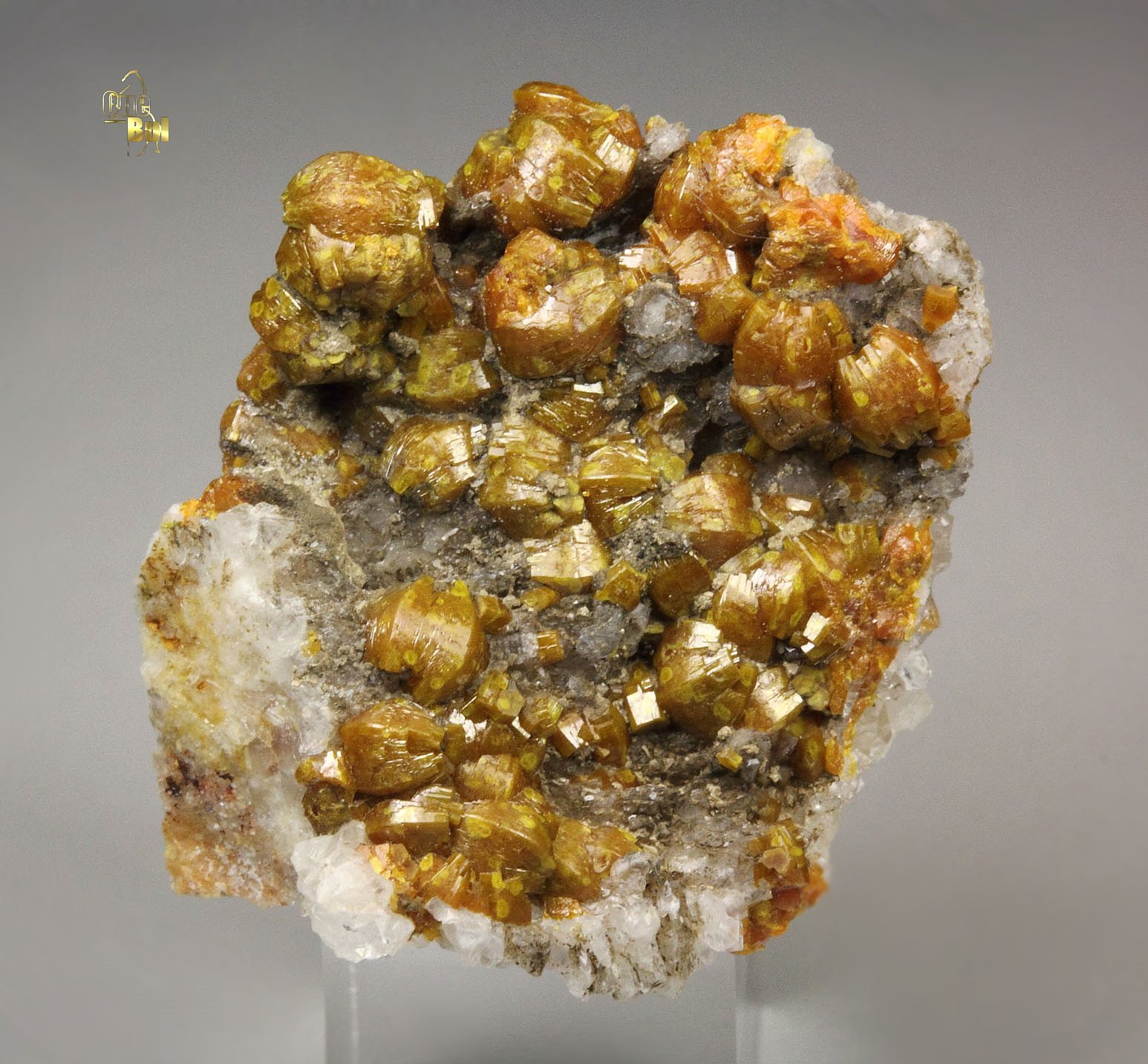 MIMETITE var. CAMPYLITE