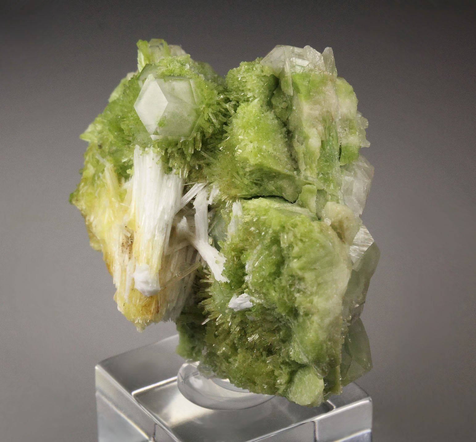 gem colorless GARNET var. GROSSULAR, PECTOLITE, DIOPSIDE