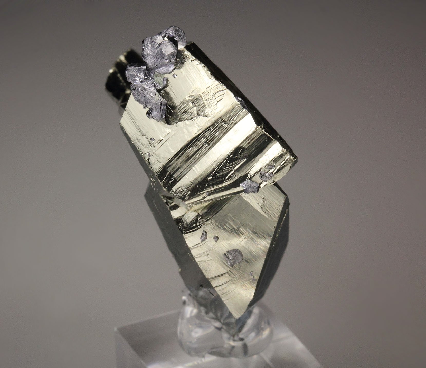 PYRITE floater, GALENA