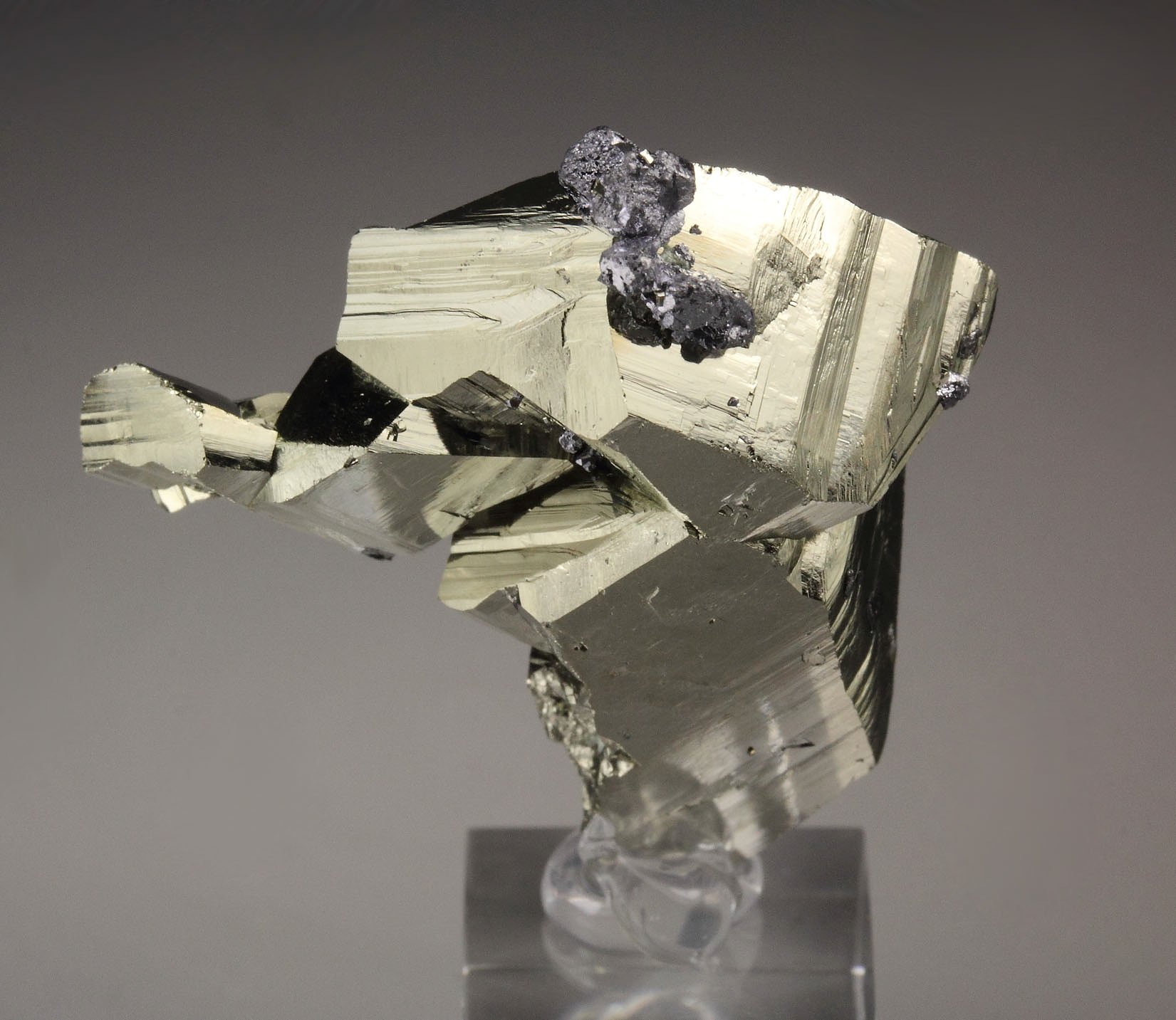 PYRITE floater, GALENA