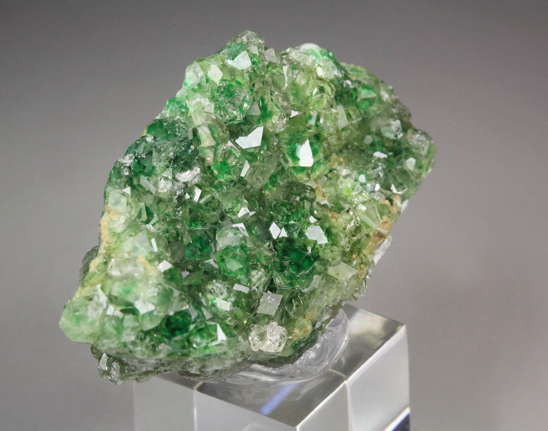 gem GARNET var. GROSSULAR with GREEN CHROMIAN PHANTOMS, PECTOLITE