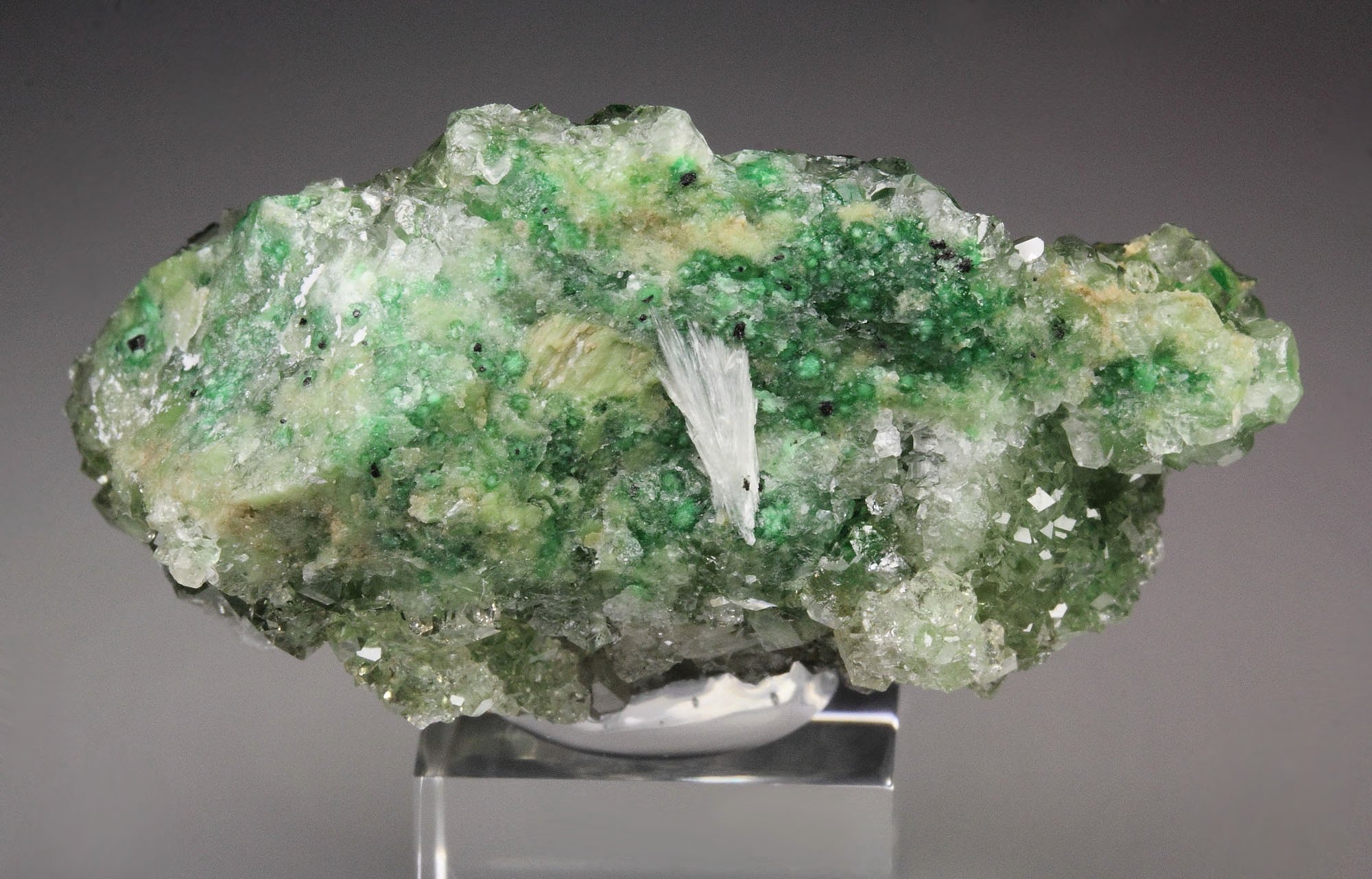 gem GARNET var. GROSSULAR with GREEN CHROMIAN PHANTOMS, PECTOLITE