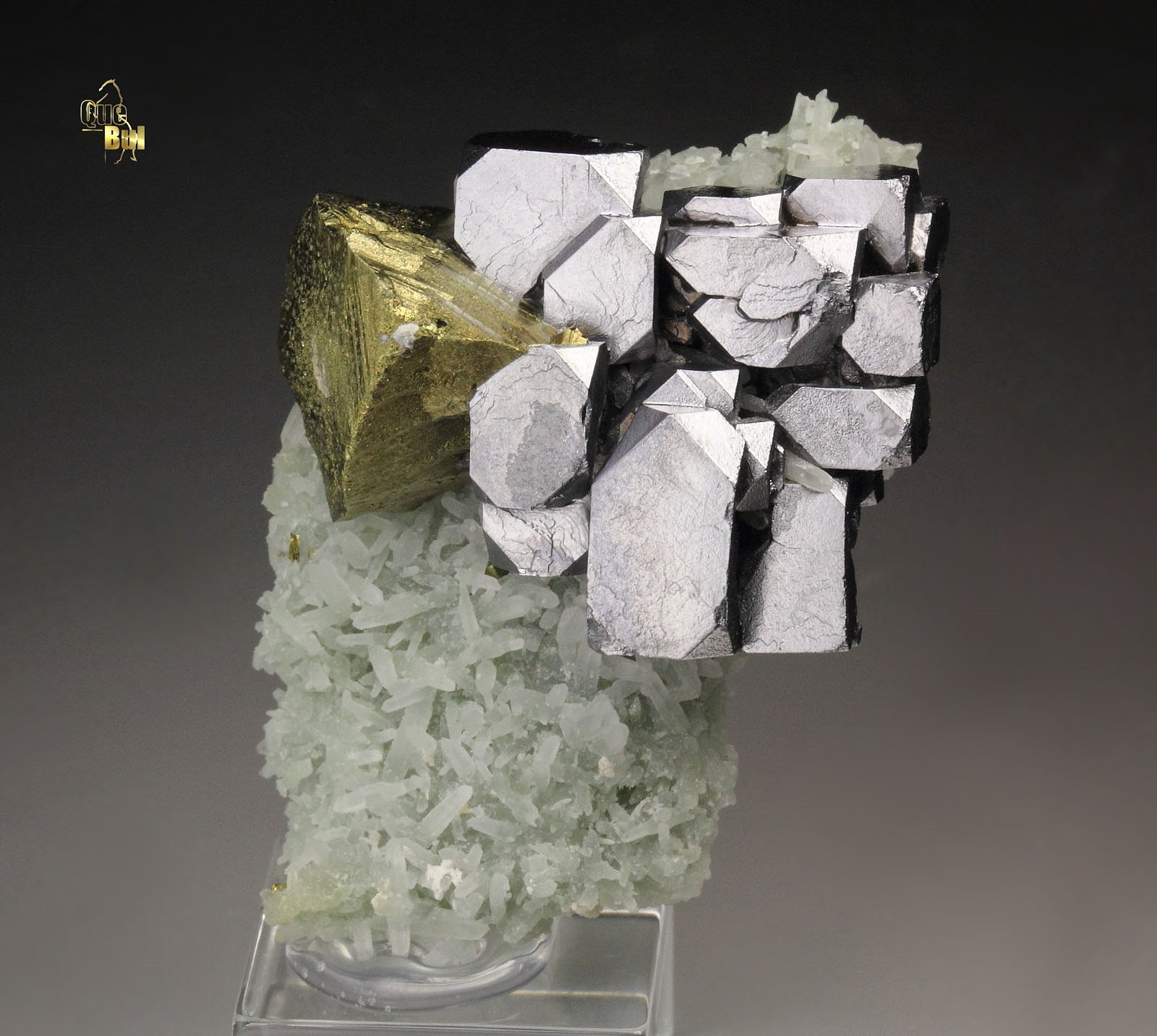 skeletal GALENA, CHALCOPYRITE, QUARTZ