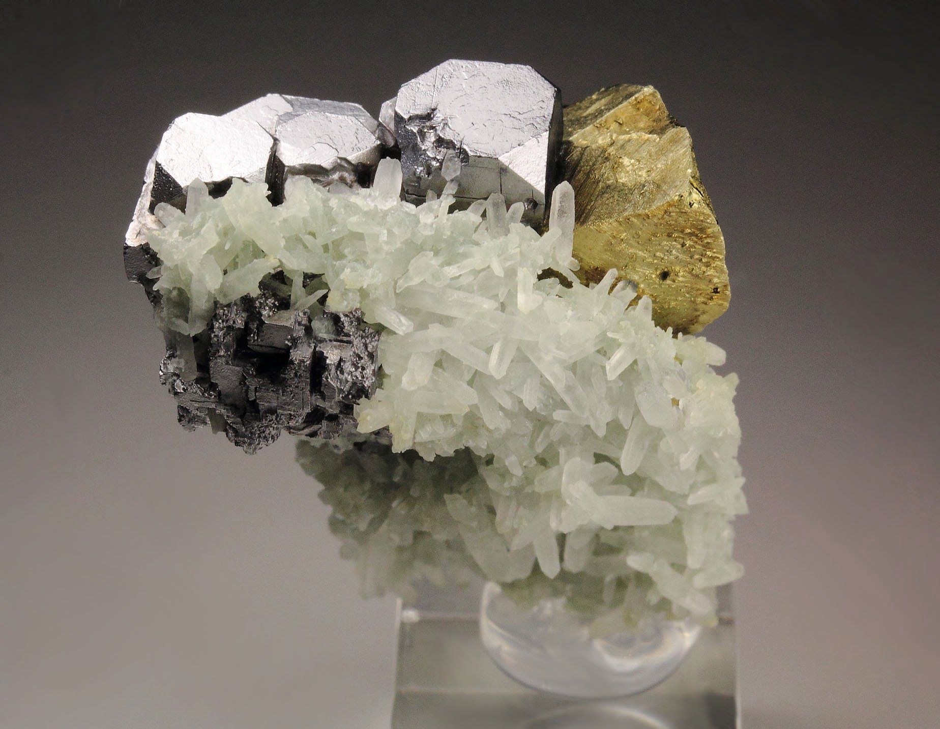 skeletal GALENA, CHALCOPYRITE, QUARTZ