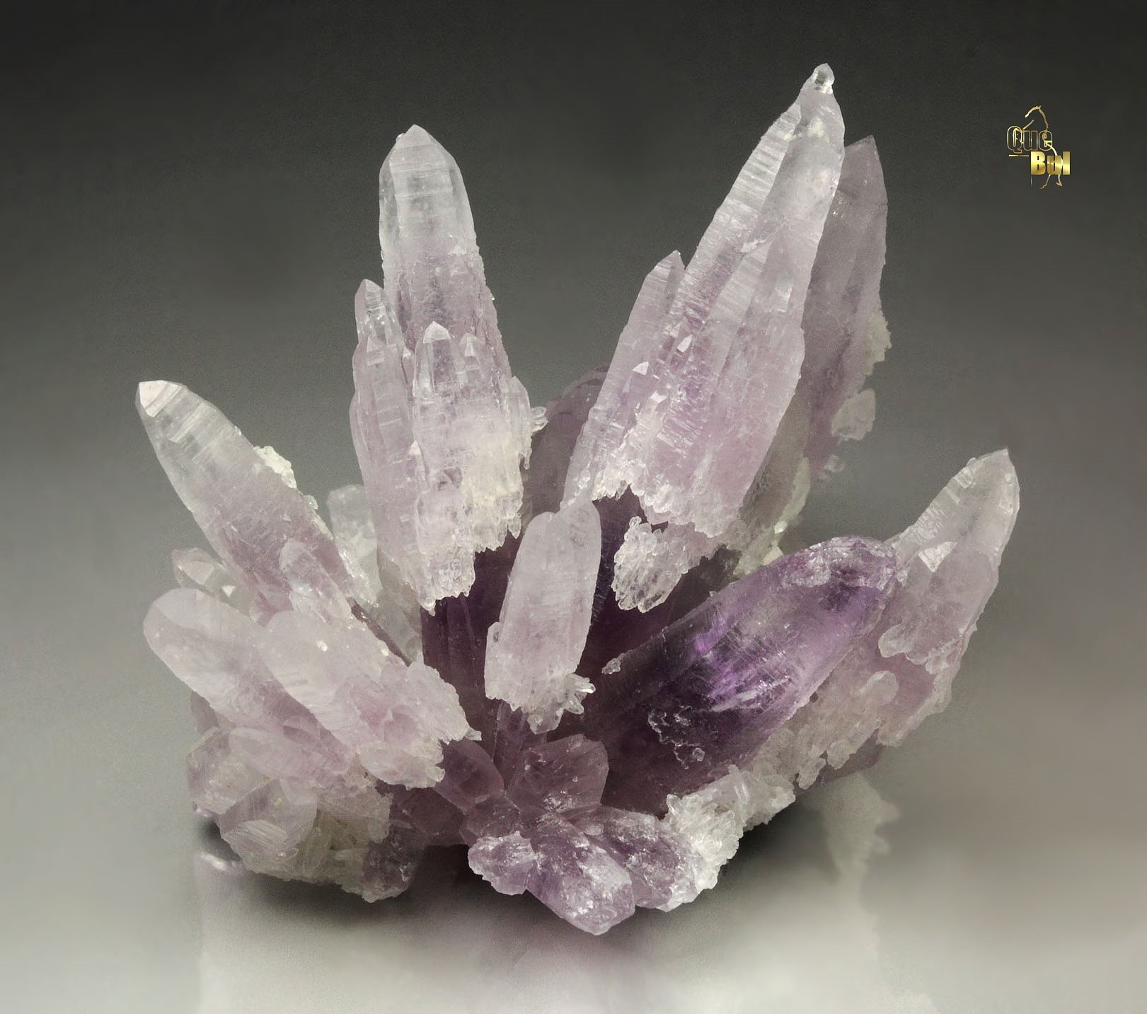 QUARTZ var. AMETHYST scepter