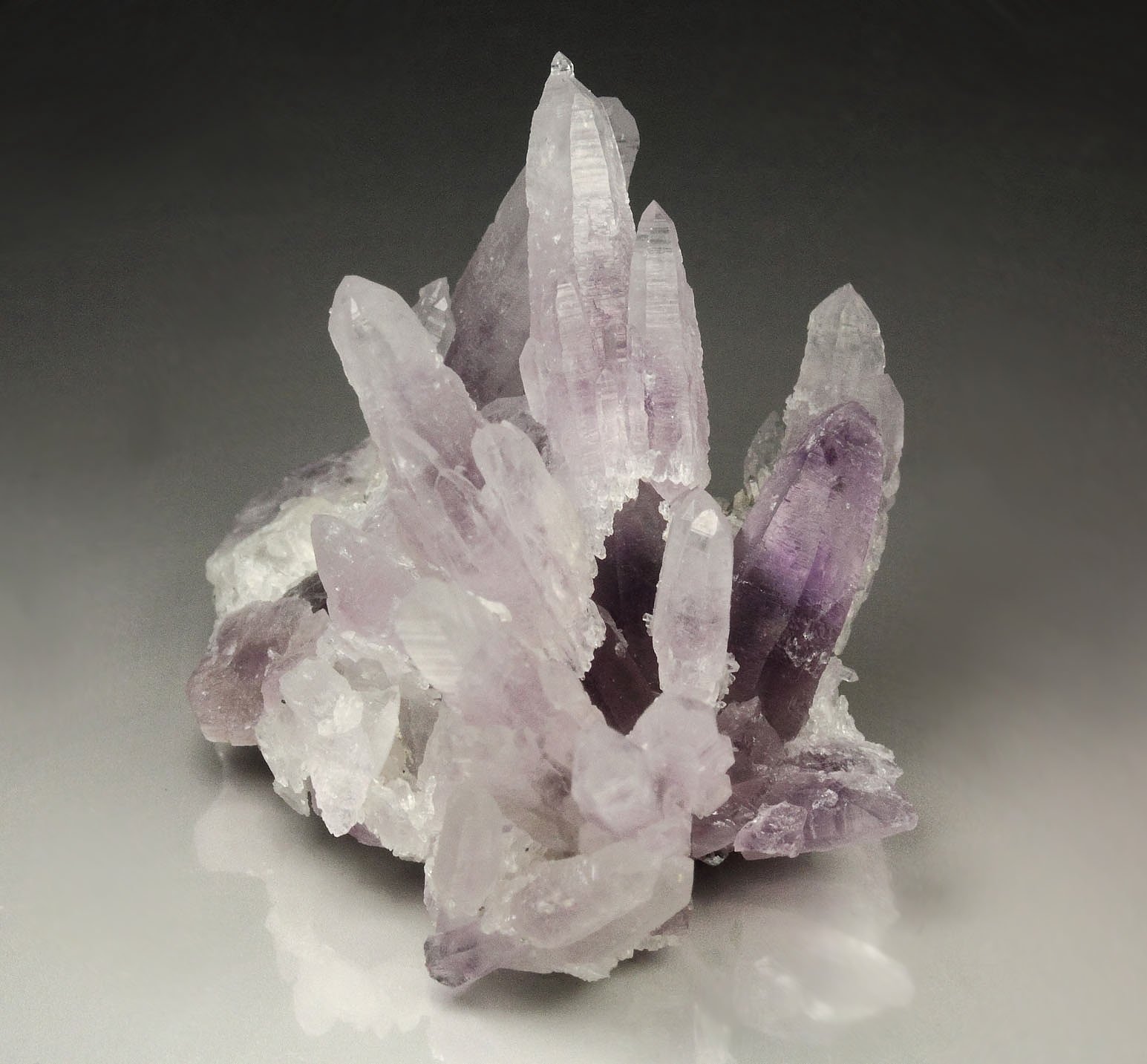 QUARTZ var. AMETHYST scepter