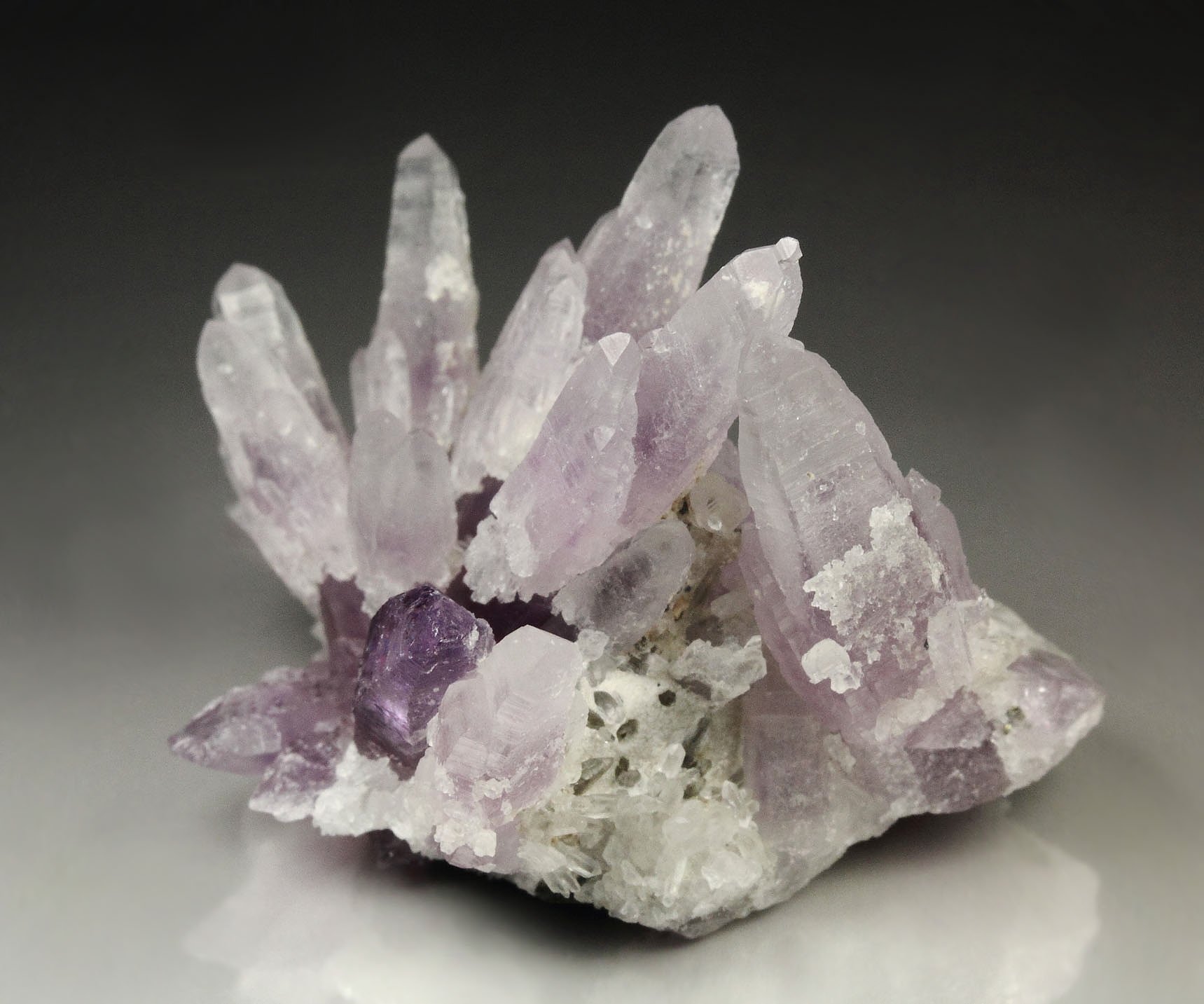 QUARTZ var. AMETHYST scepter