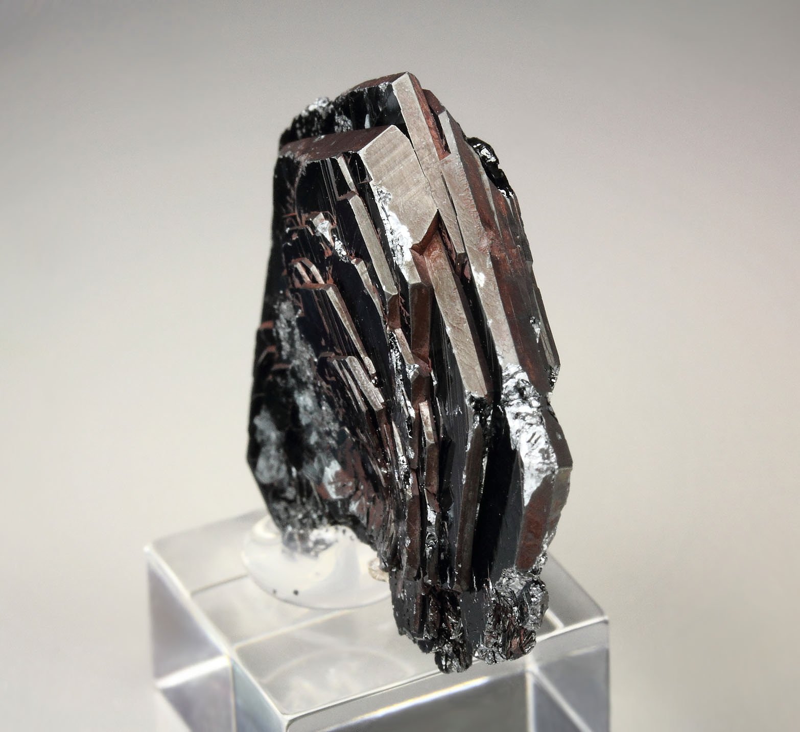 HEMATITE var. IRON ROSE