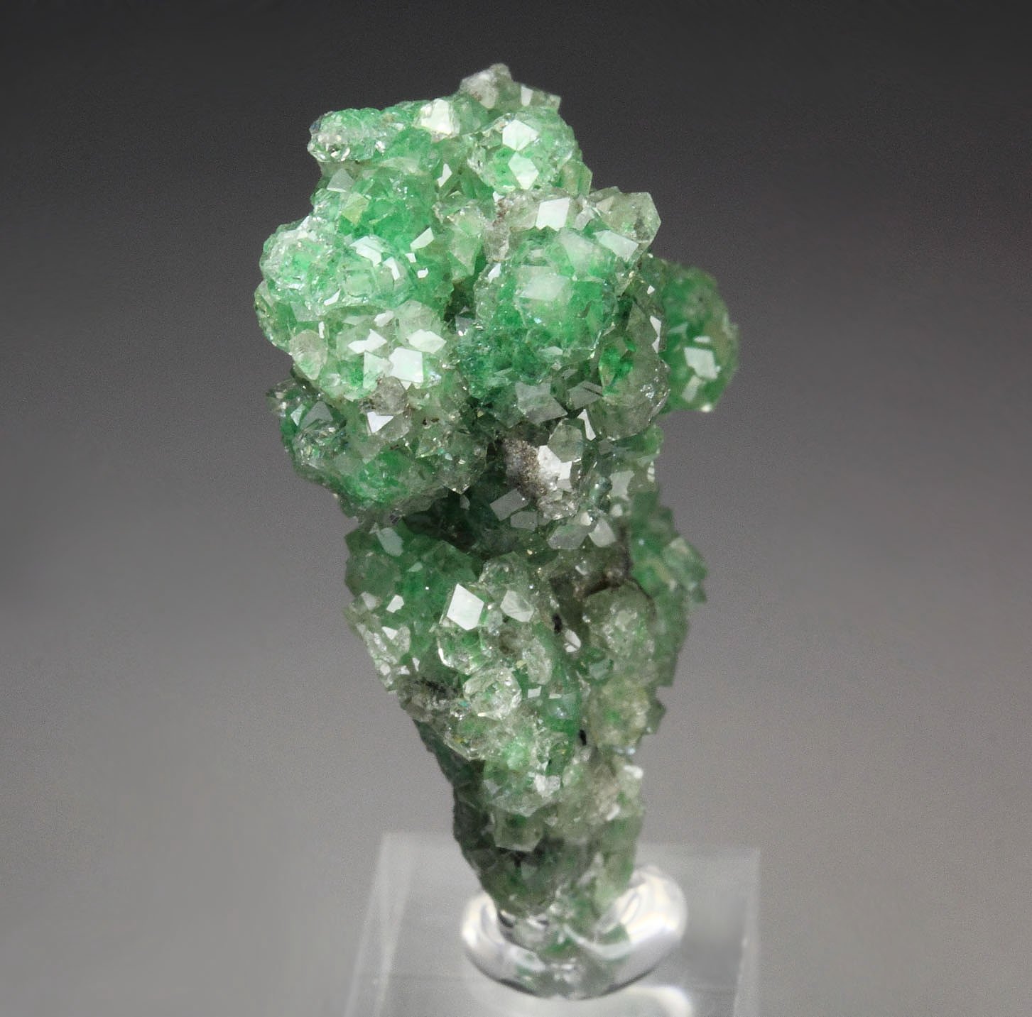 gem GARNET var. GROSSULAR with GREEN CHROMIAN PHANTOMS