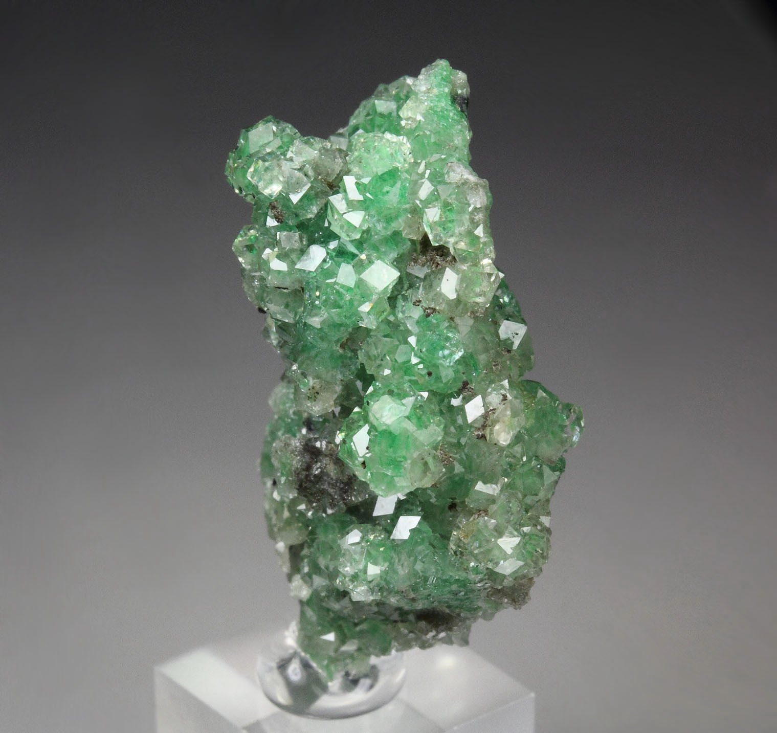 gem GARNET var. GROSSULAR with GREEN CHROMIAN PHANTOMS